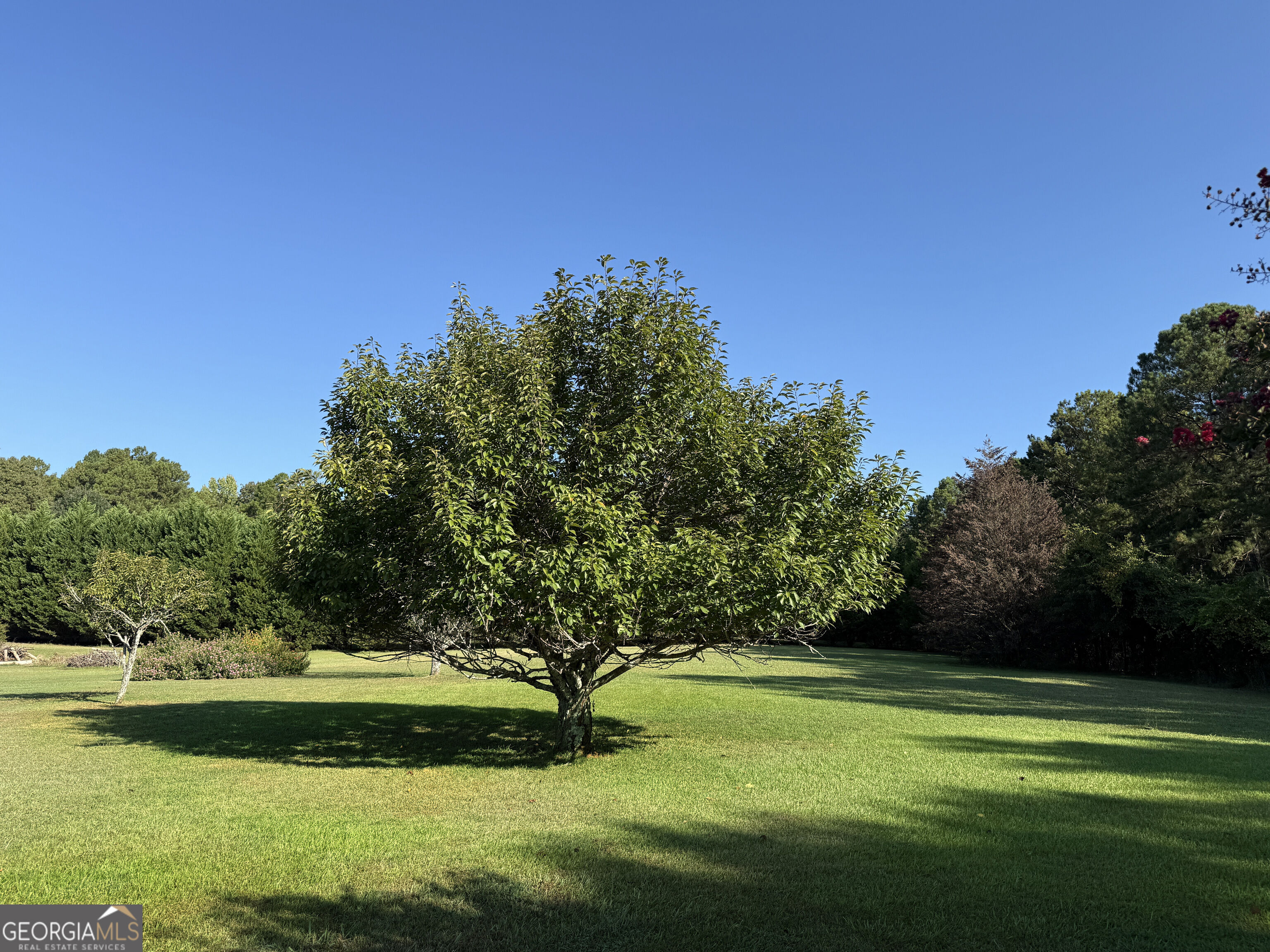 1311 Copeland Road Property Photo 77
