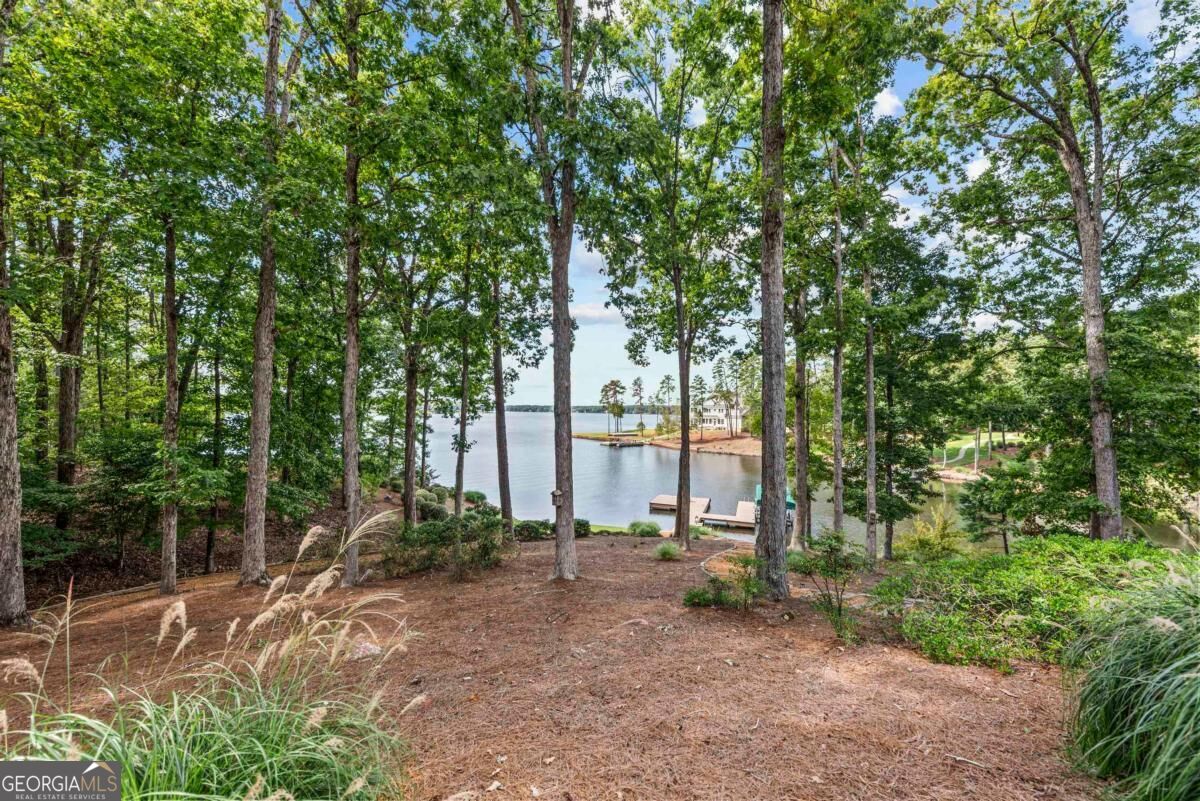 1041 Ruths Way Property Photo 63