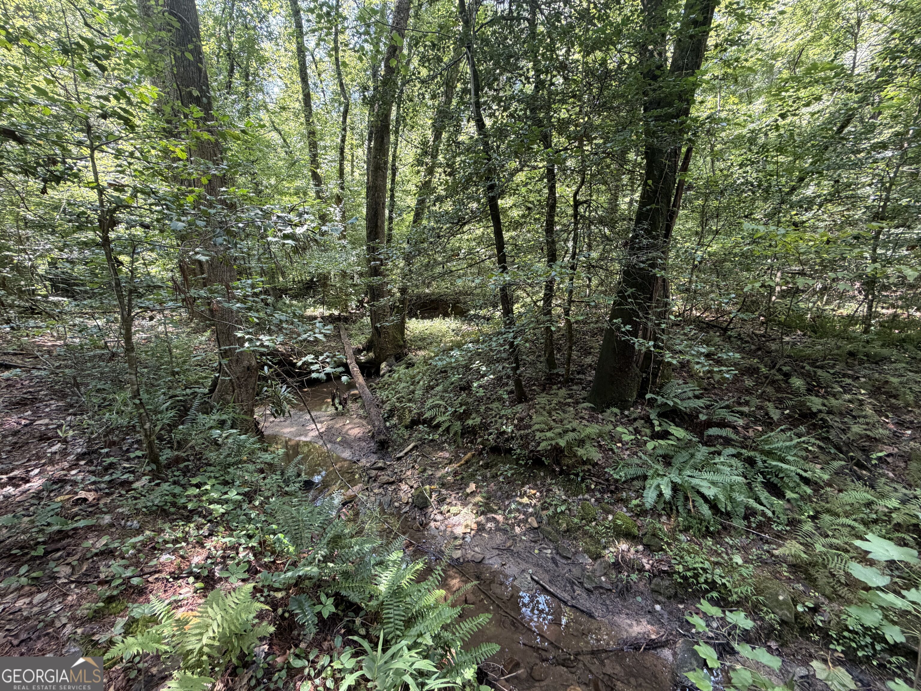 0 Alpine Drive Property Photo 1