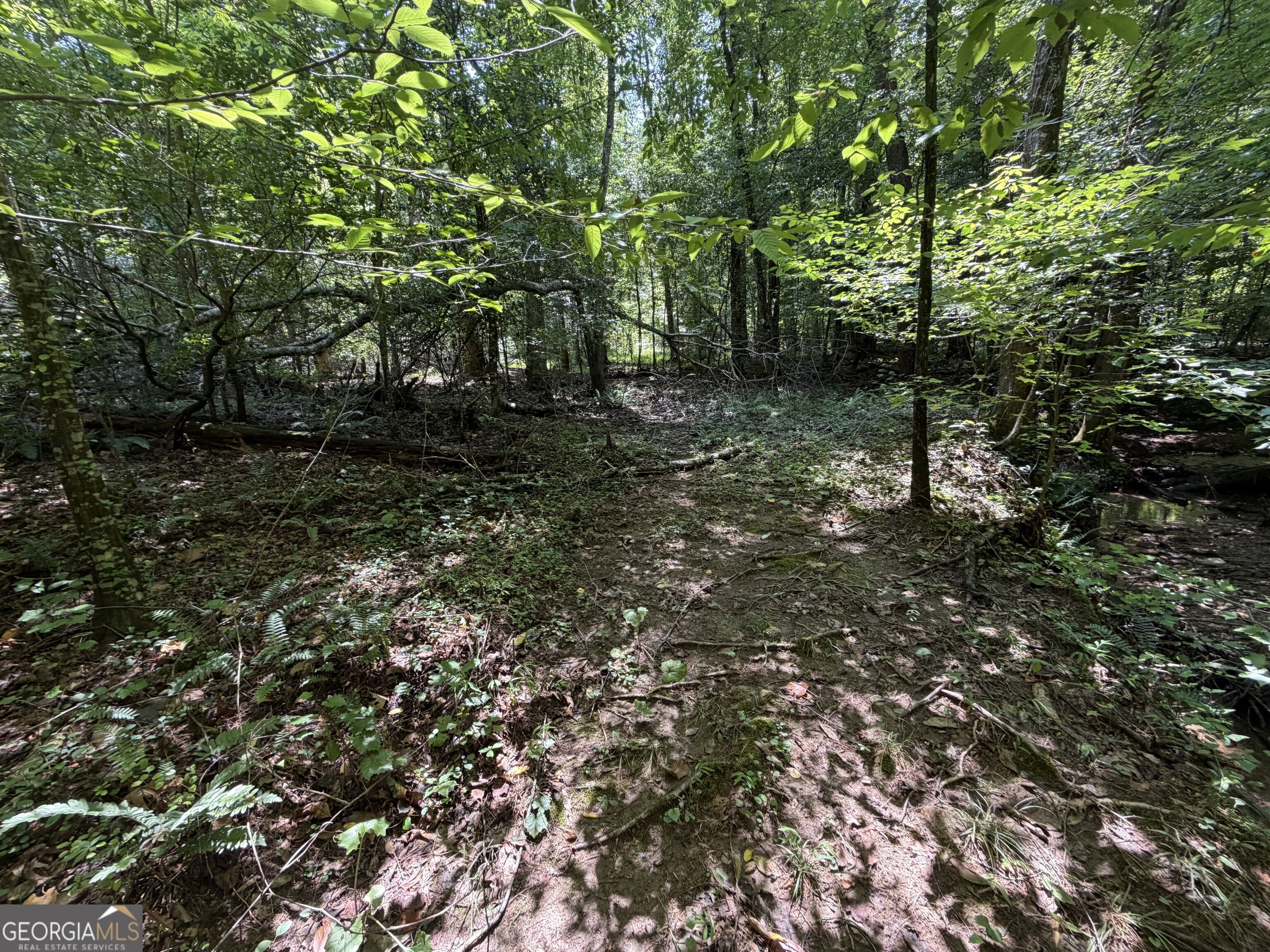 0 Alpine Drive Property Photo 7