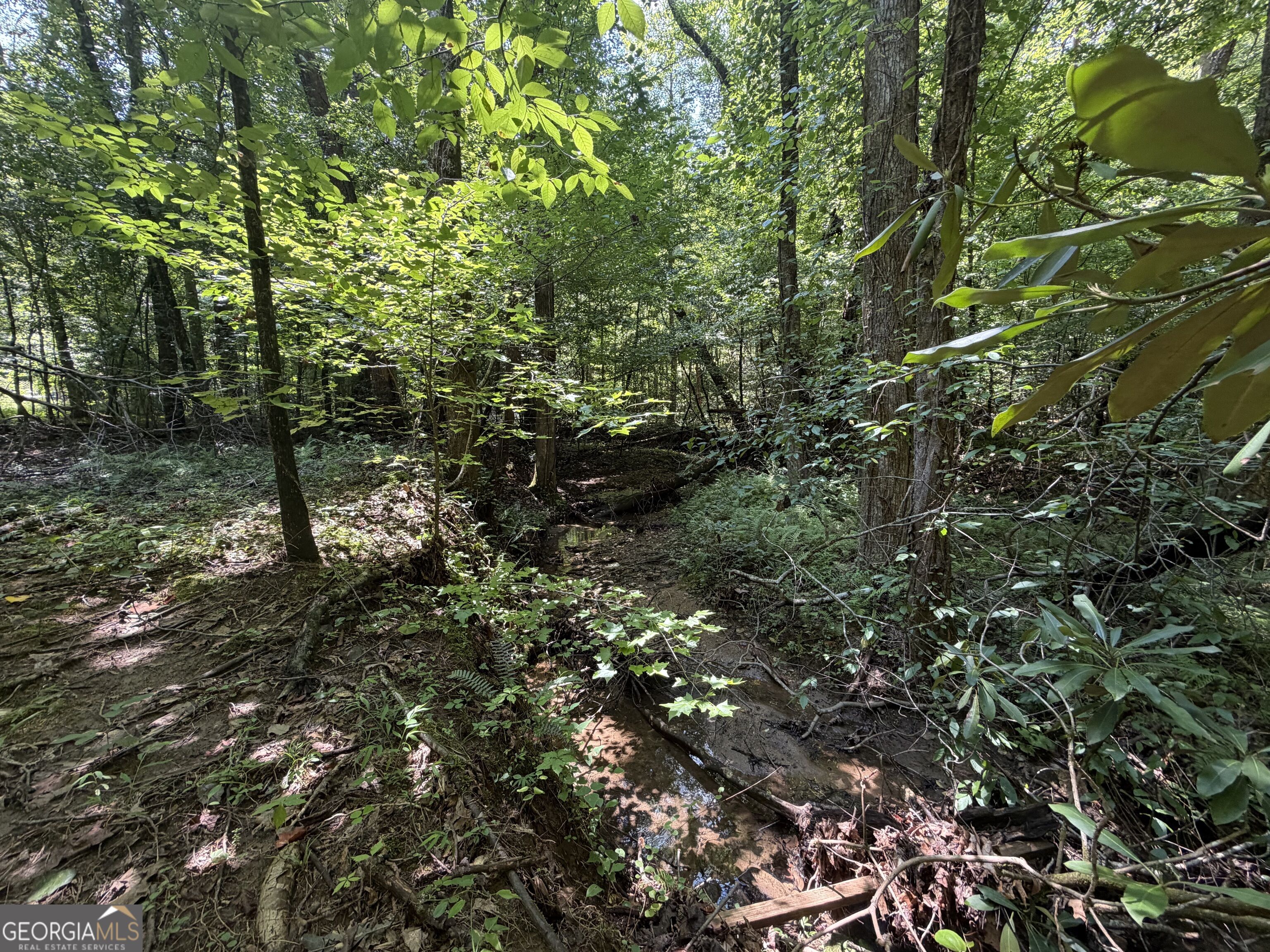 0 Alpine Drive Property Photo 8