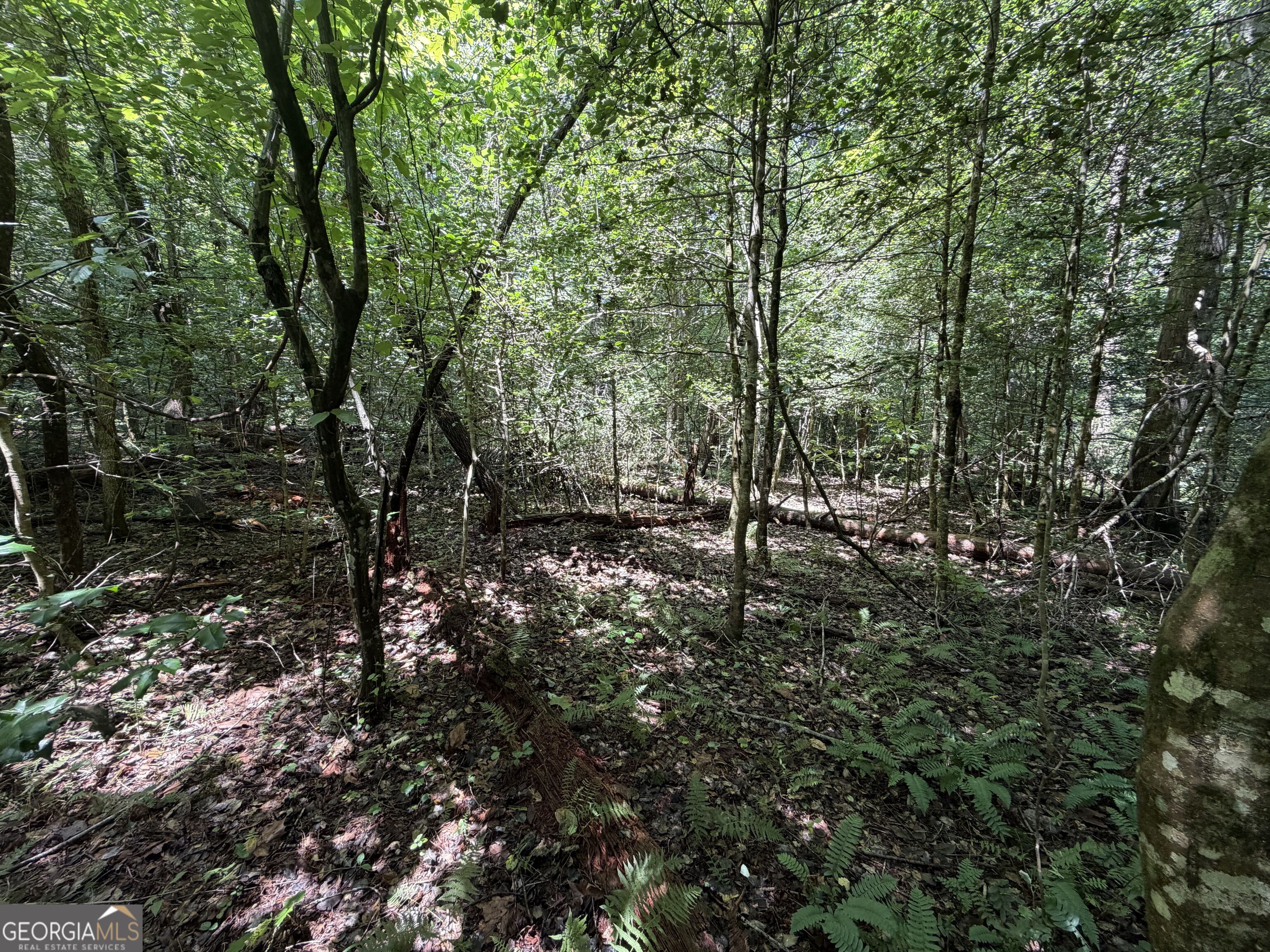0 Alpine Drive Property Photo 13
