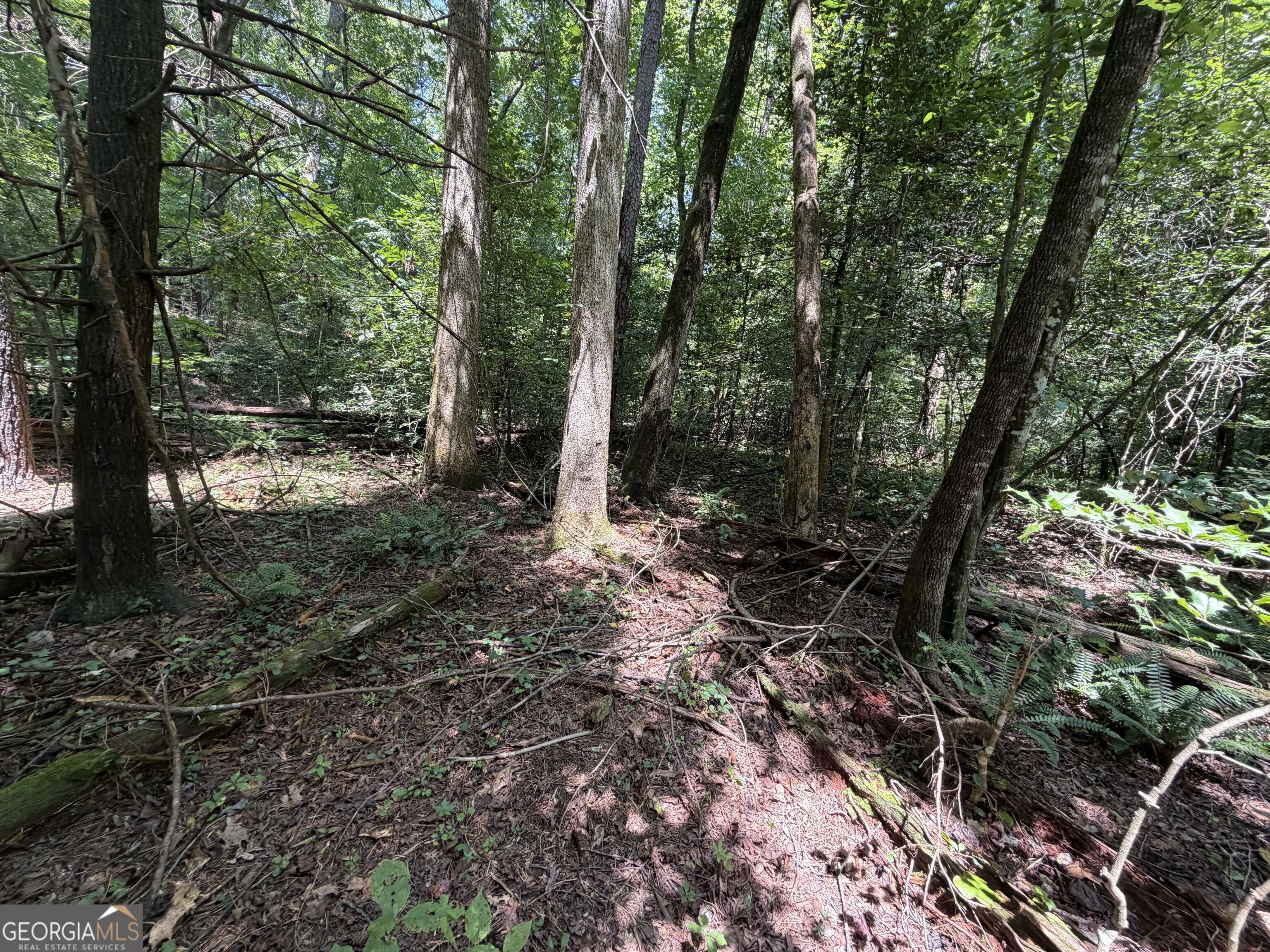 0 Alpine Drive Property Photo 14