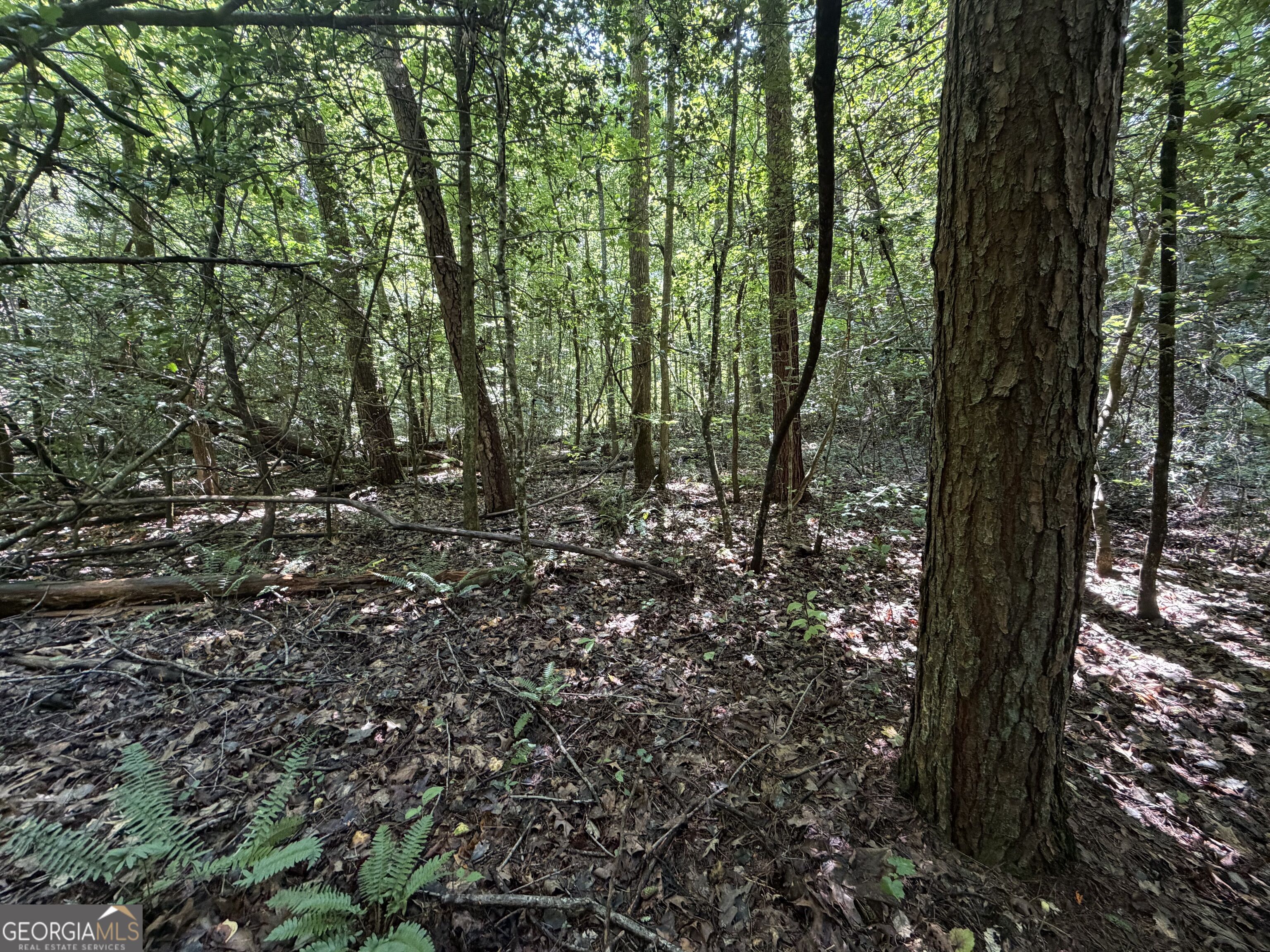 0 Alpine Drive Property Photo 17