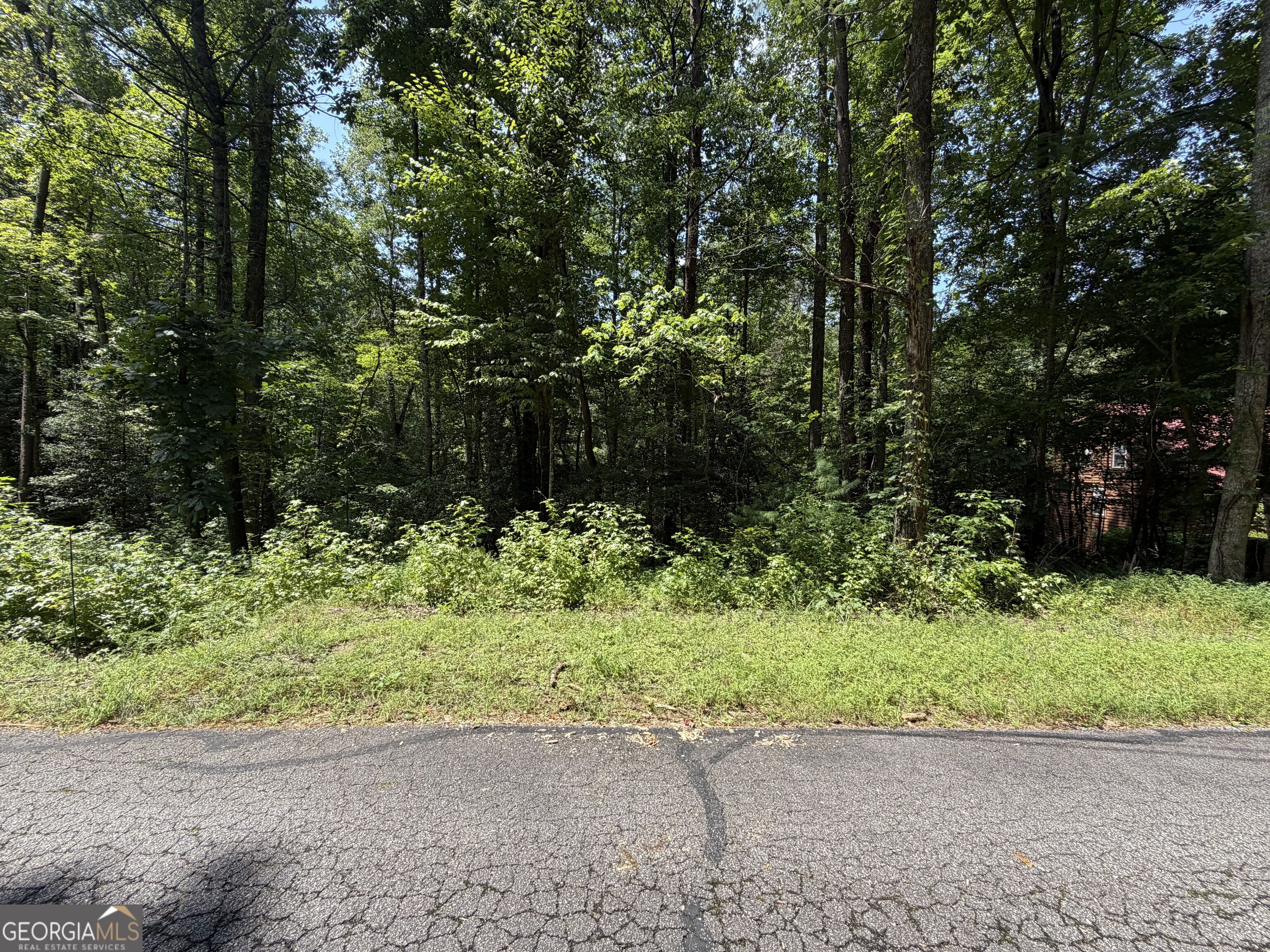 0 Alpine Drive Property Photo 18
