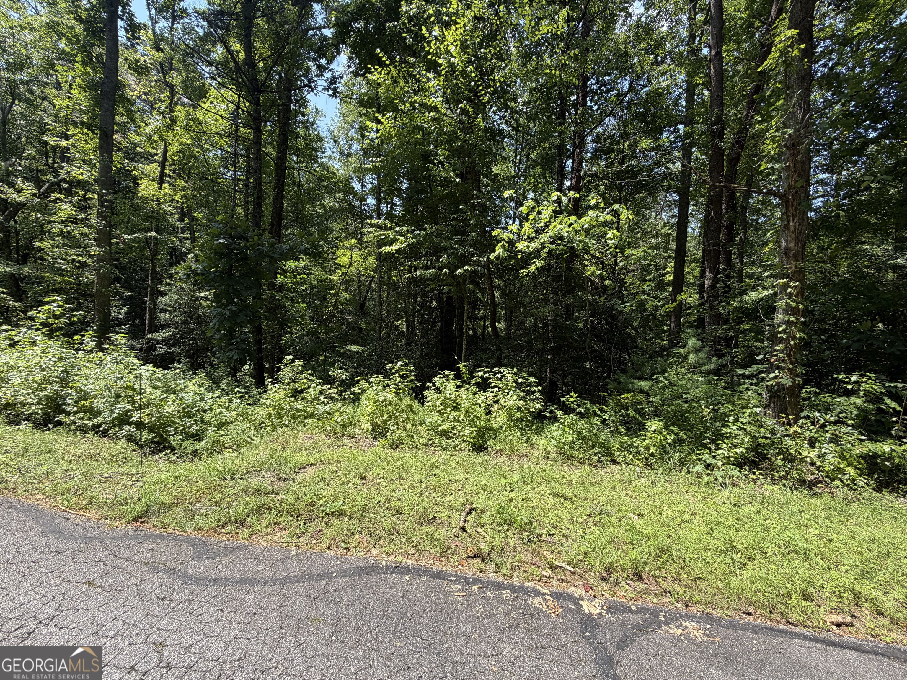 0 Alpine Drive Property Photo 19
