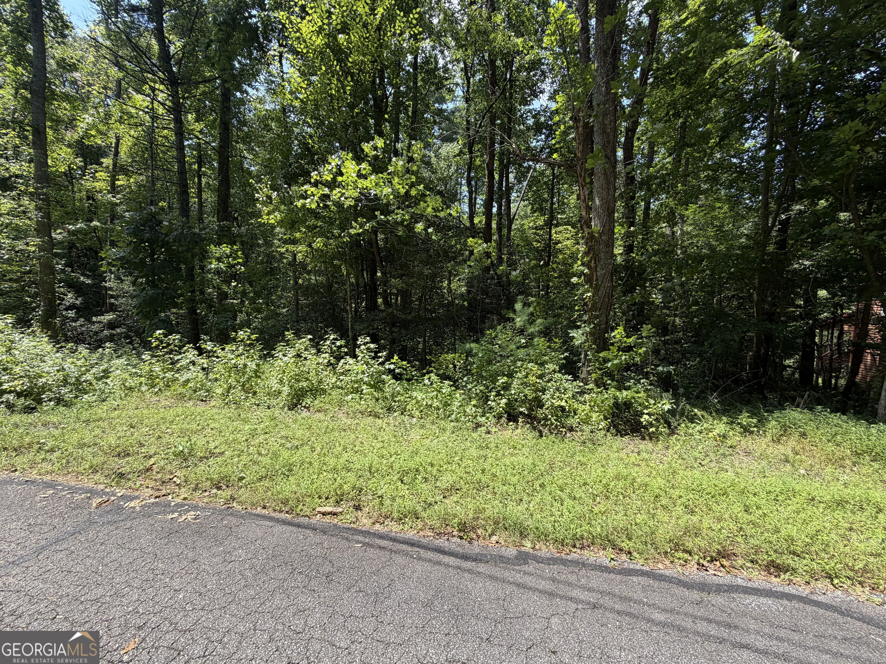 0 Alpine Drive Property Photo 20