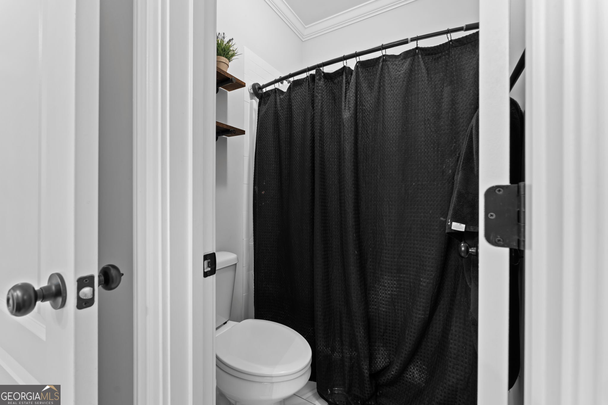 223 Bristleleaf Path Property Photo 47
