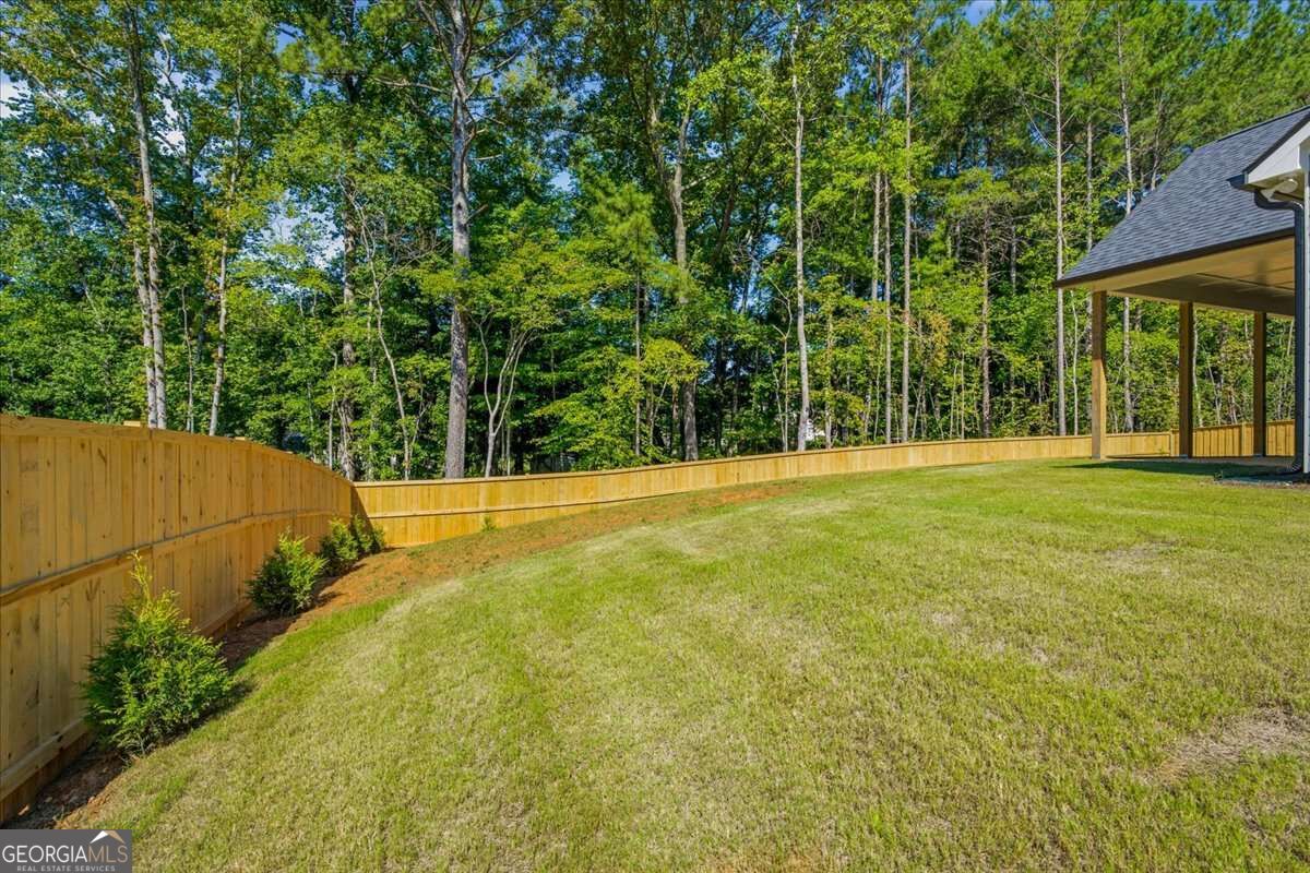 816 Presley Farm Parkway Property Photo 42