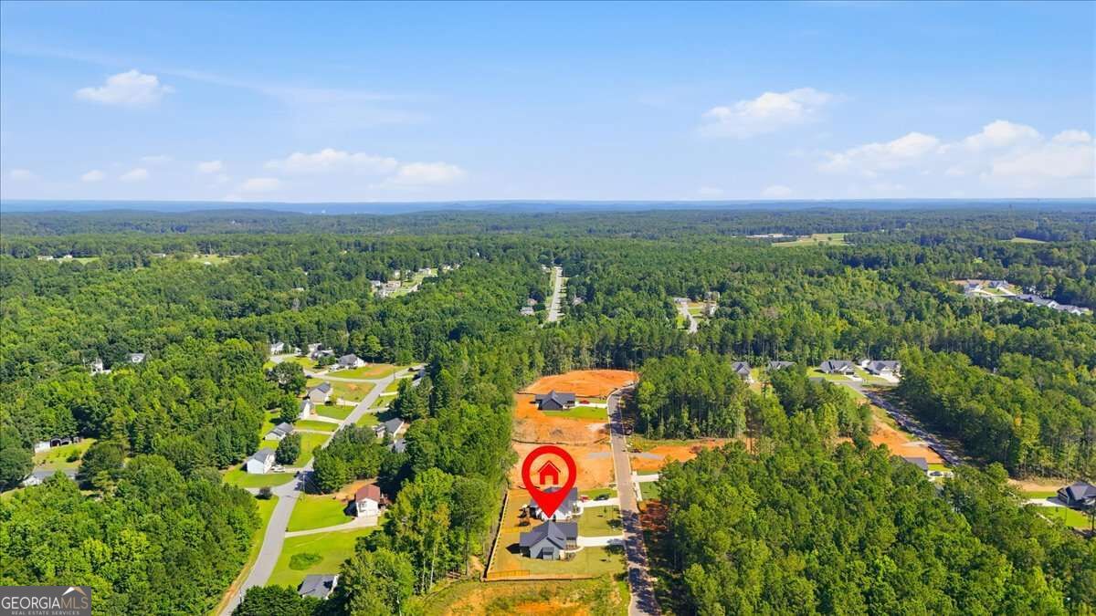816 Presley Farm Parkway Property Photo 44