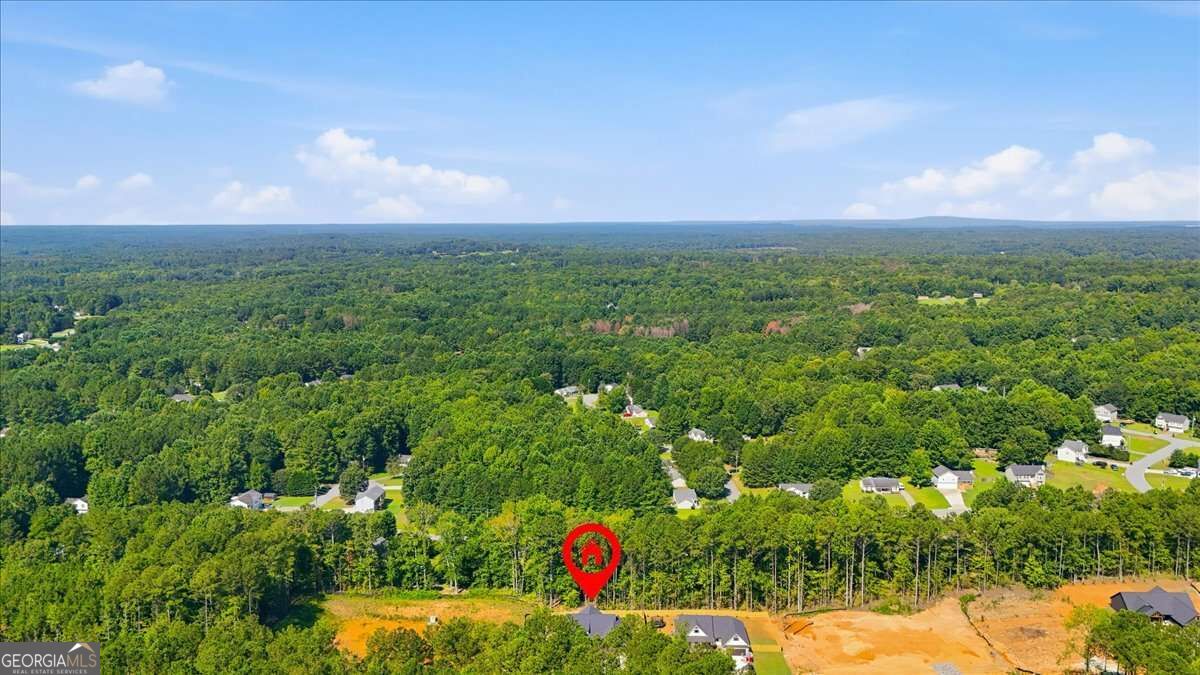 816 Presley Farm Parkway Property Photo 45