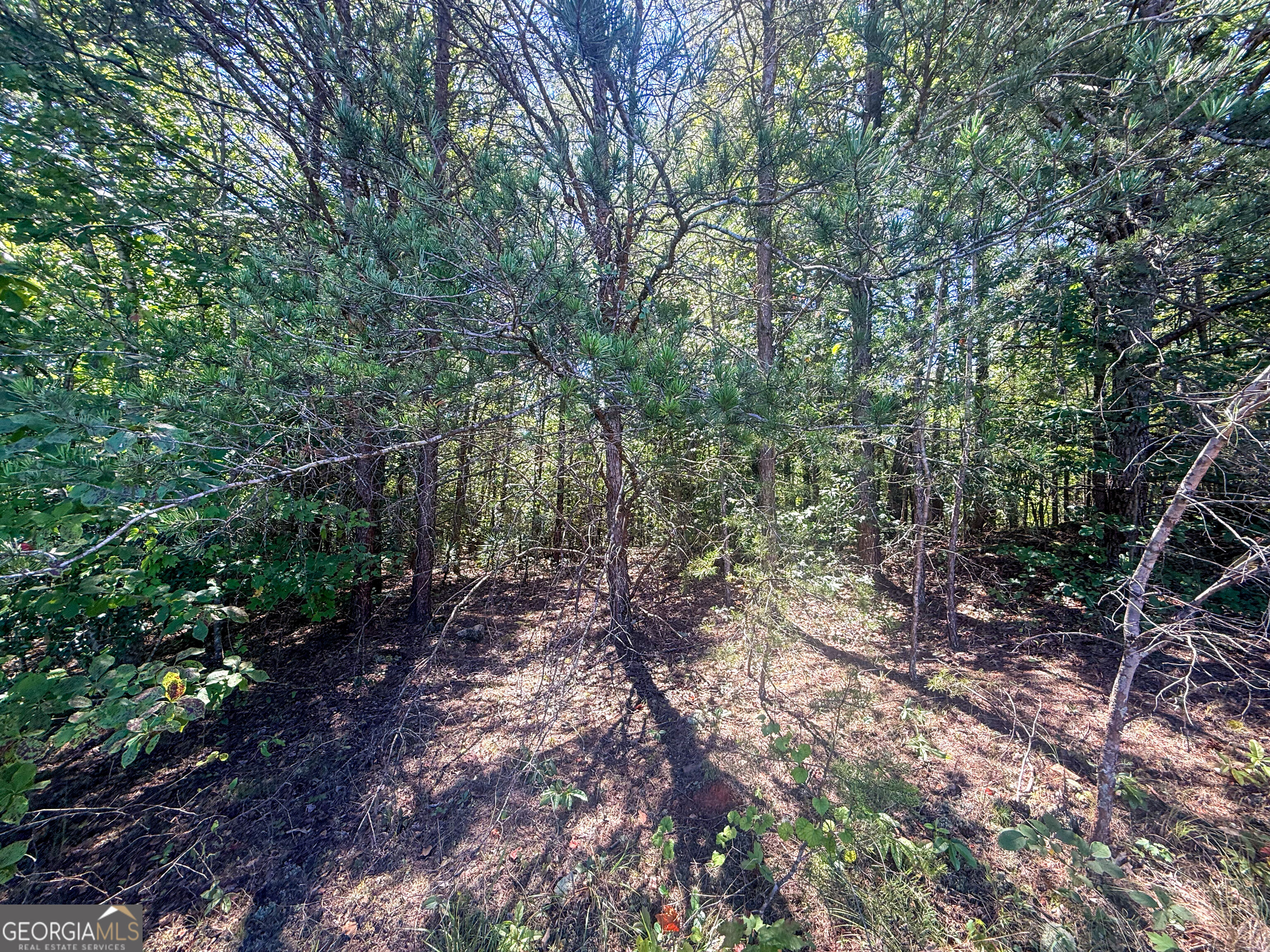 Lot 21 Sunshine Ridge Drive Property Photo 2