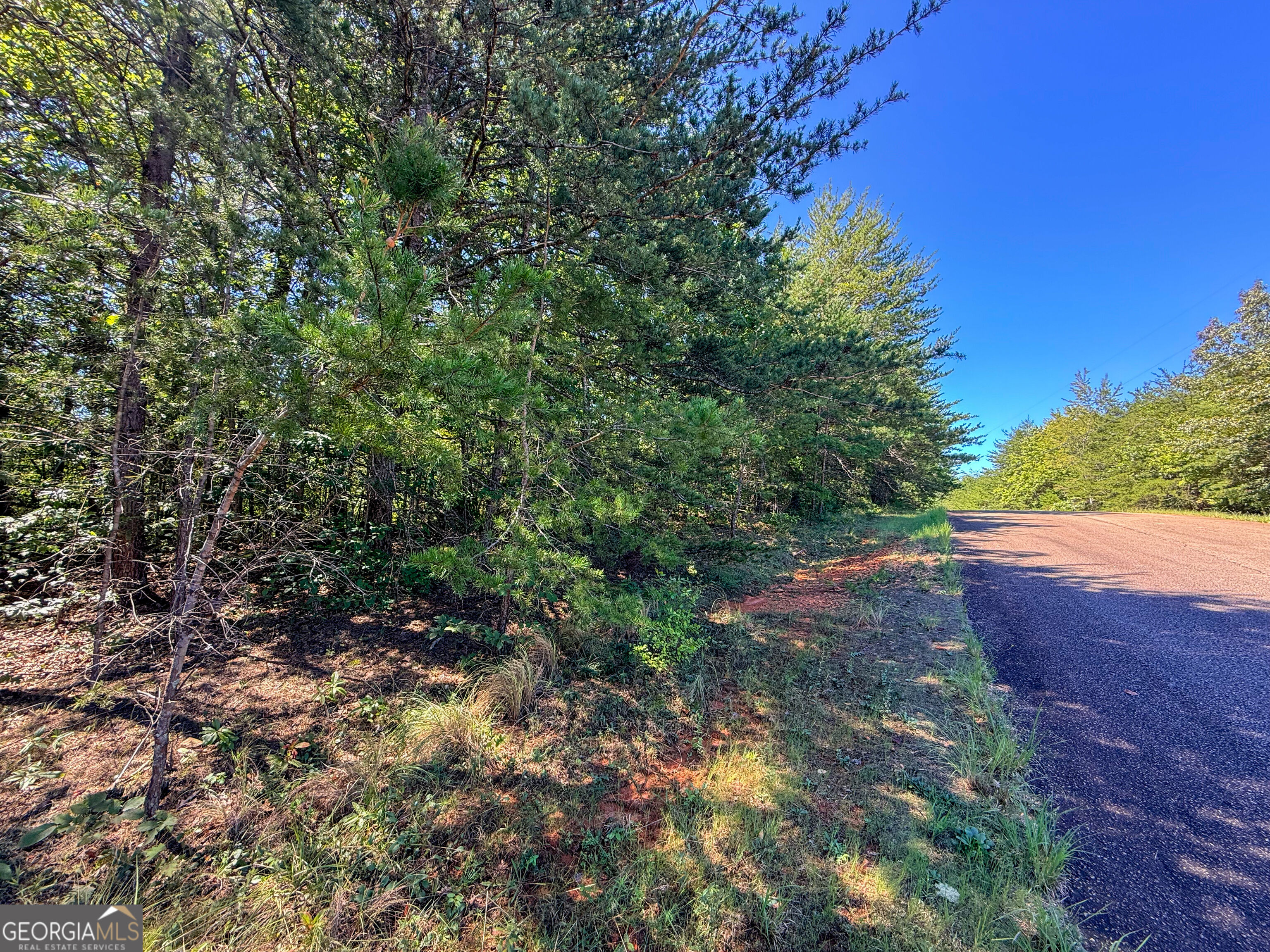 Lot 21 Sunshine Ridge Drive Property Photo 3