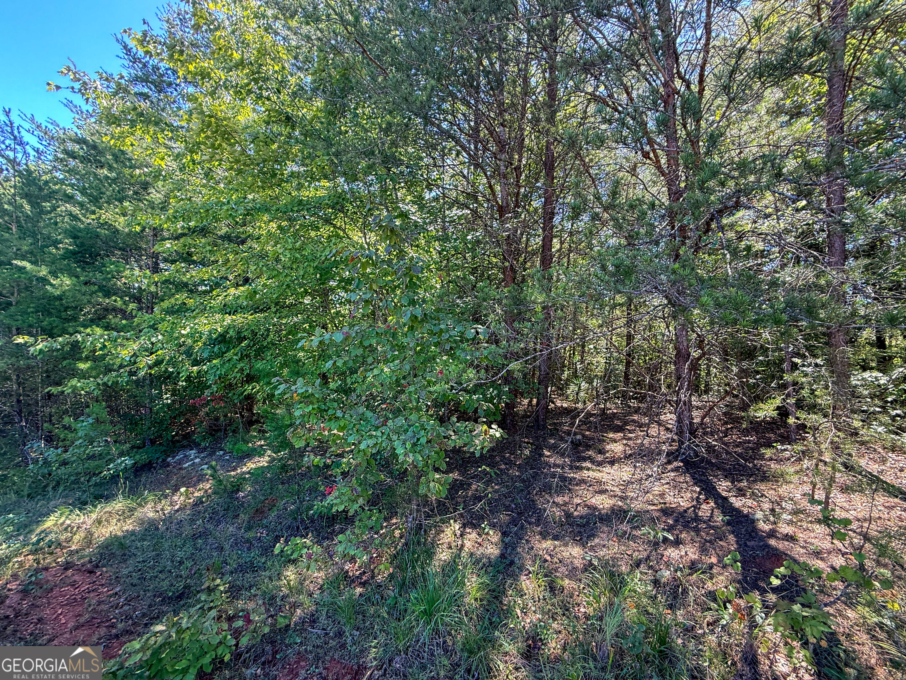 Lot 21 Sunshine Ridge Drive Property Photo 4
