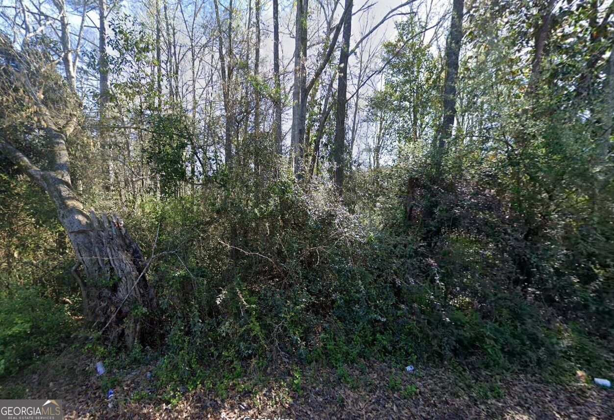 33 E Woodard Road Property Photo 2