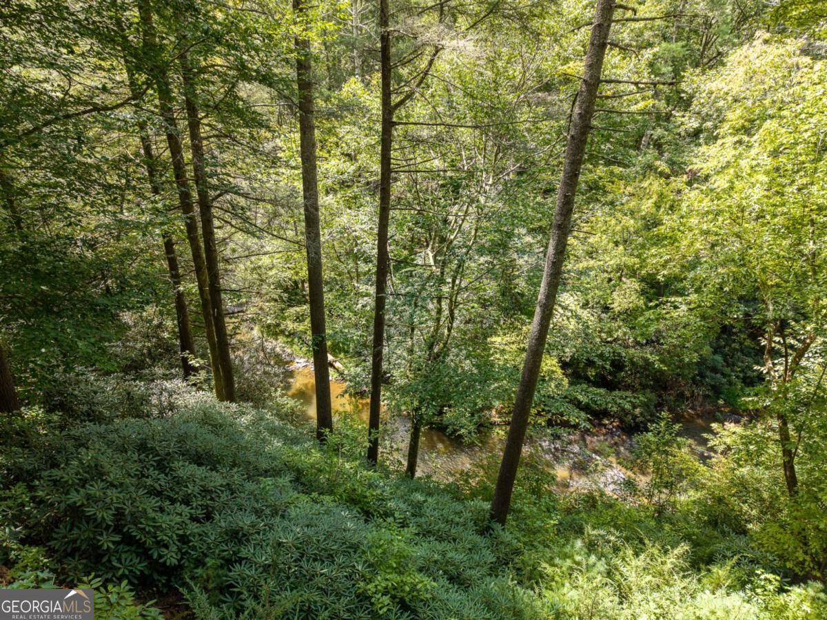 488 Whispering Pine Lane # 9 Property Photo 15