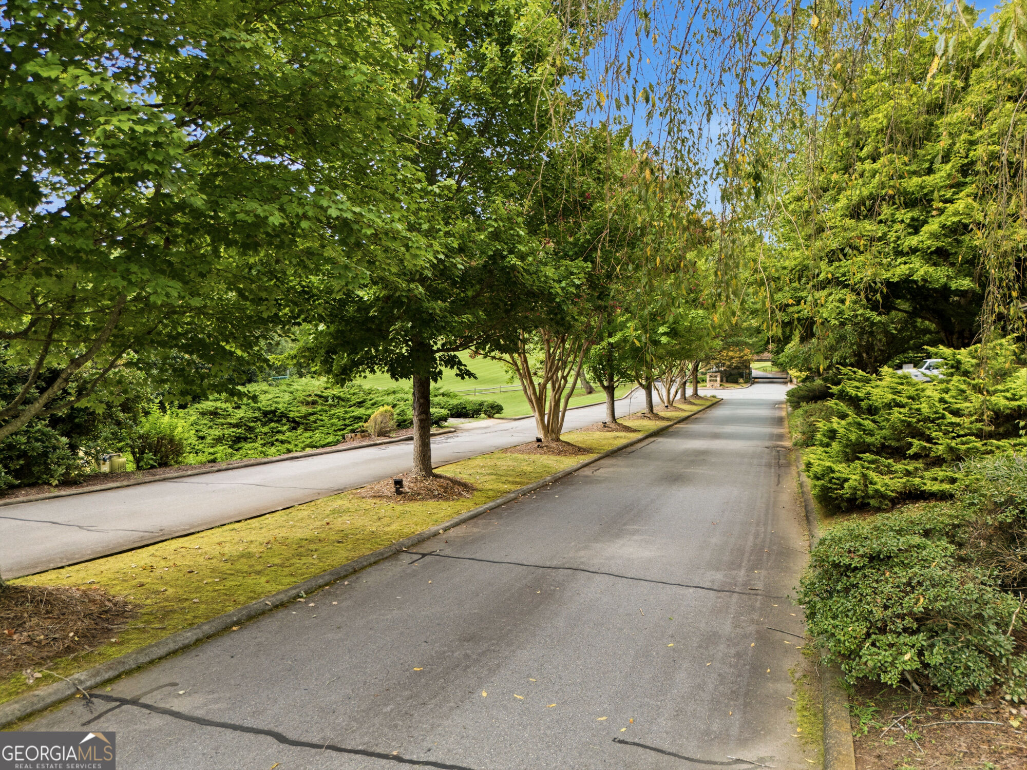 476 Licklog Ridge Property Photo 65