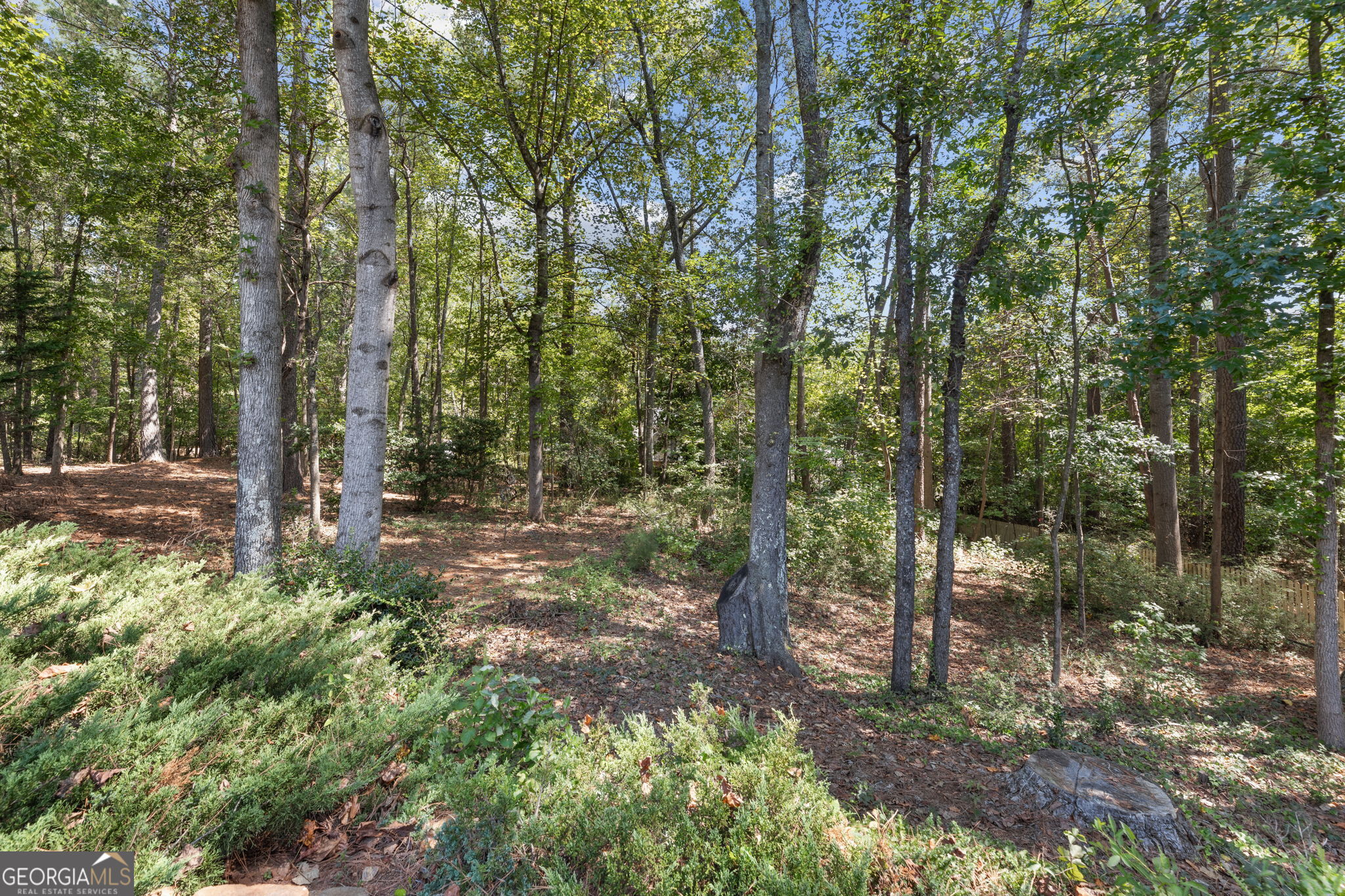 4209 Mill Grove Lane Sw Property Photo 35
