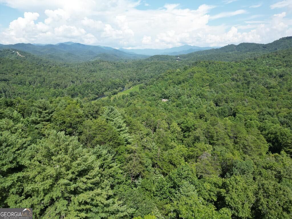0 Stonefly Cove Property Photo 3