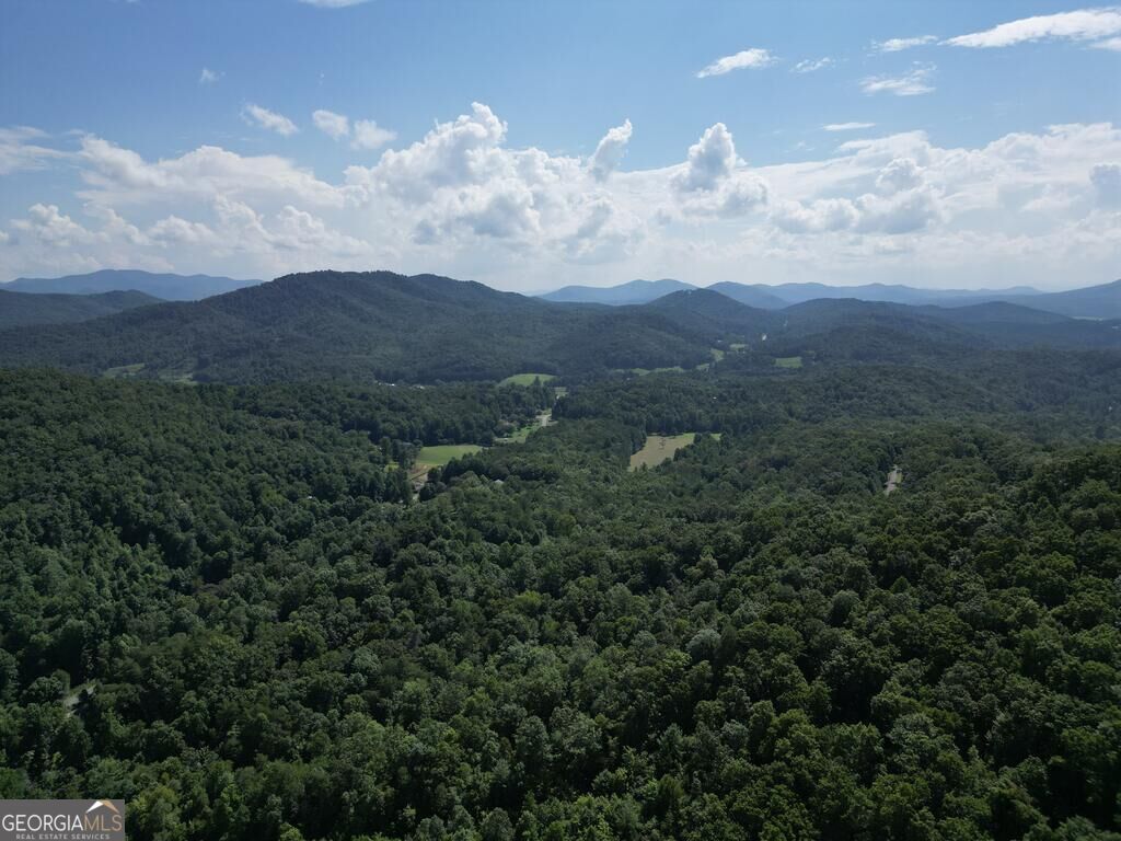 0 Stonefly Cove Property Photo 4