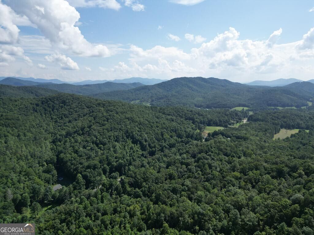 0 Stonefly Cove Property Photo 5