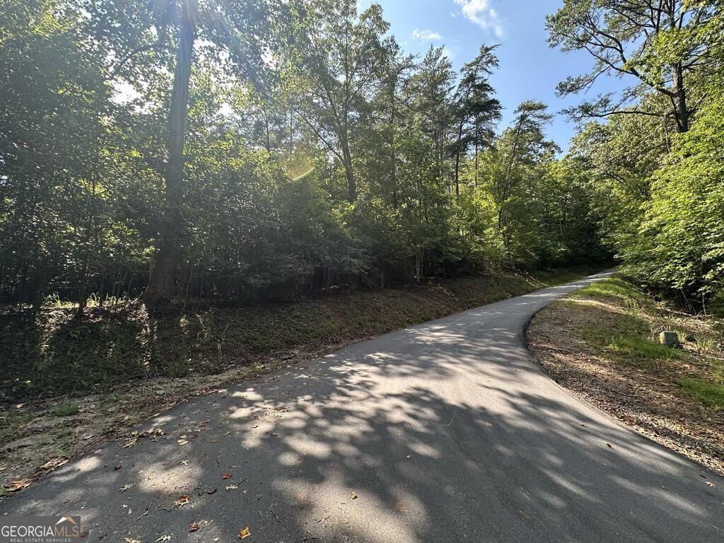 0 Stonefly Cove Property Photo 9