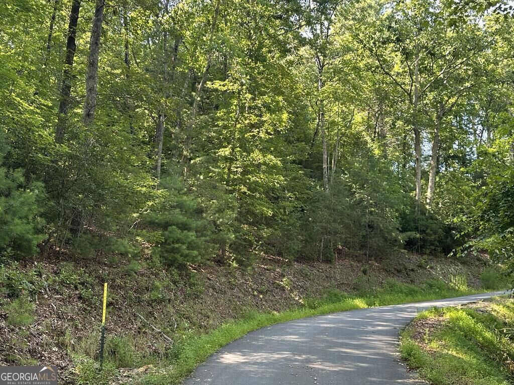 0 Stonefly Cove Property Photo 10