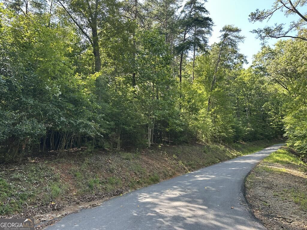 0 Stonefly Cove Property Photo 11