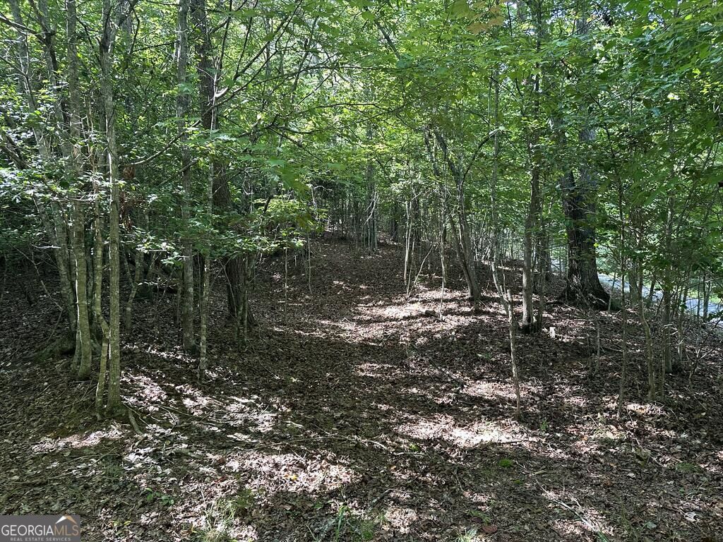 0 Stonefly Cove Property Photo 12