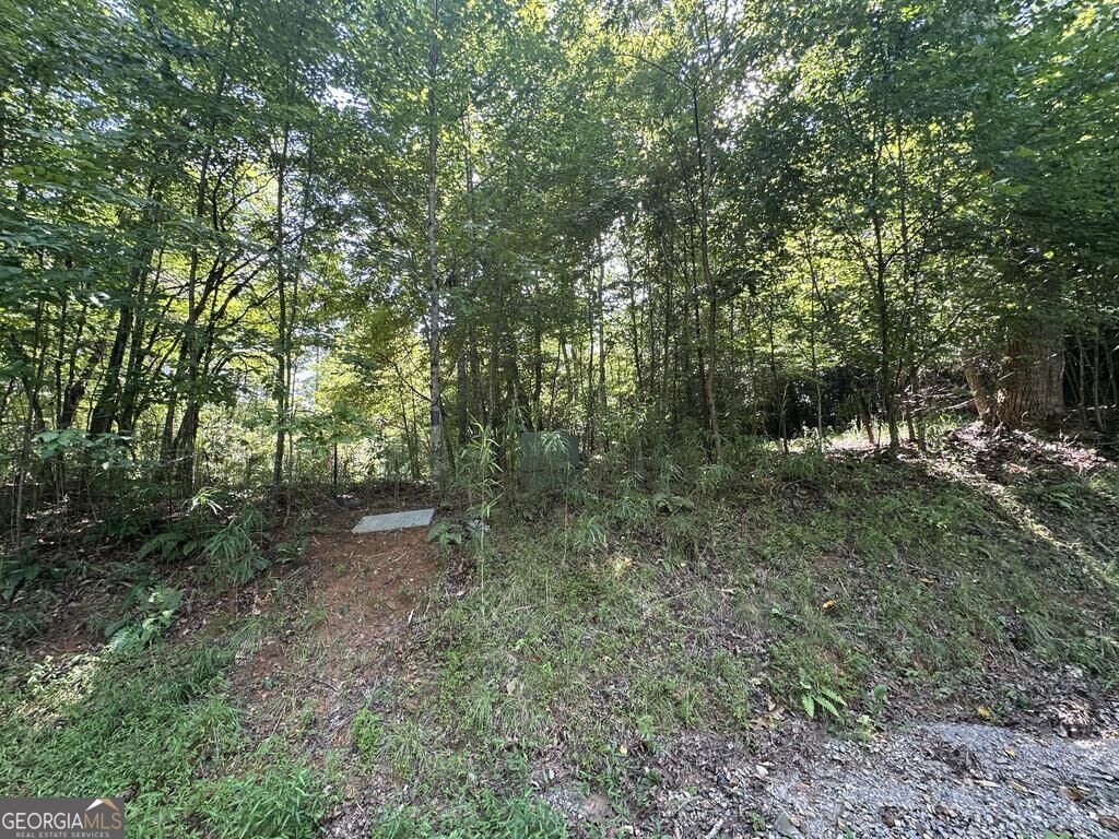 0 Stonefly Cove Property Photo 14
