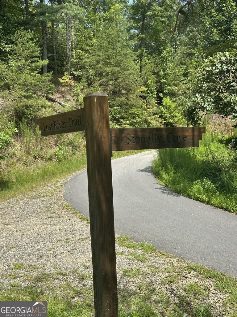 0 Stonefly Cove Property Photo 19