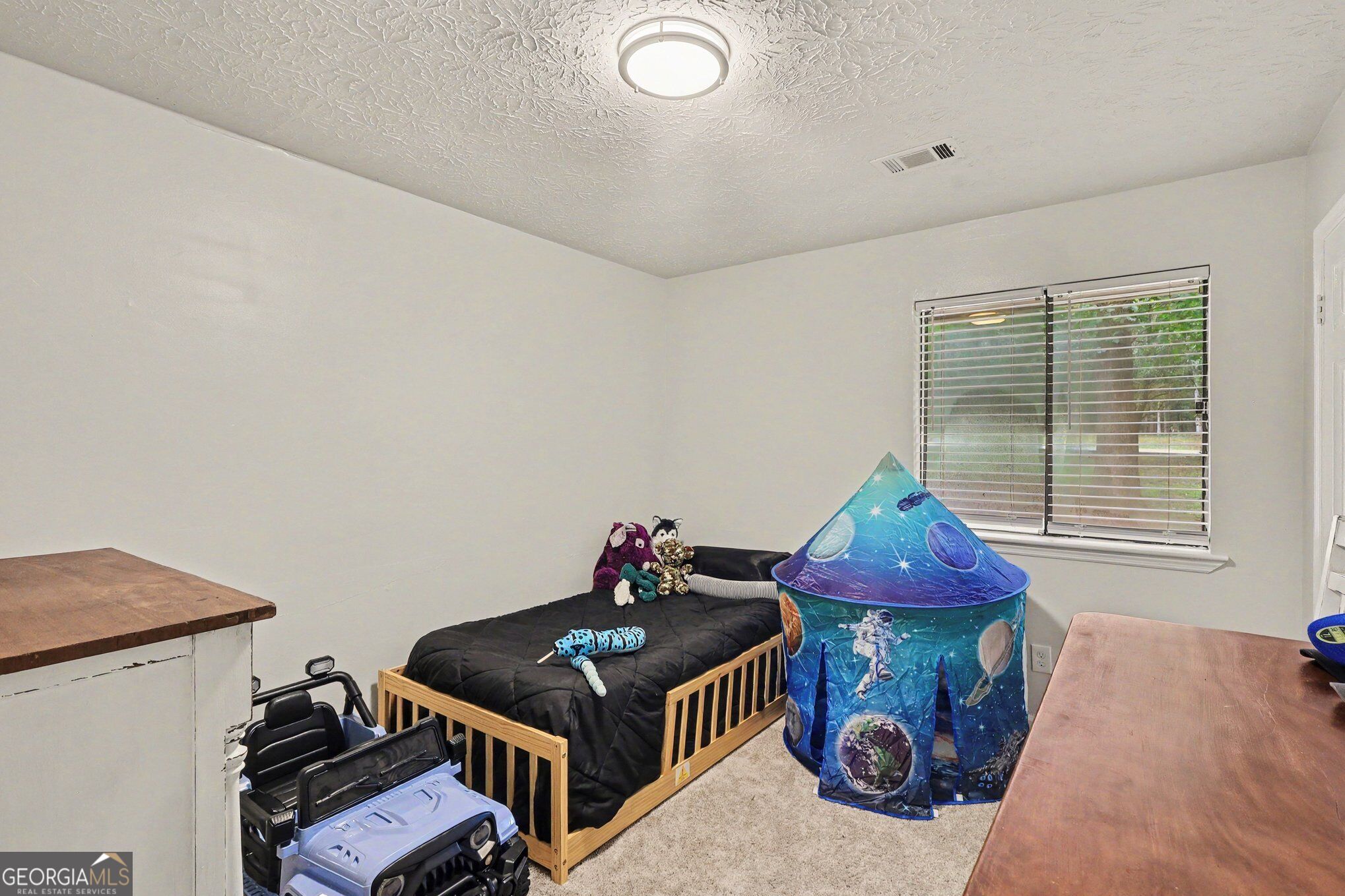 130 Ashley Oaks Drive Property Photo 22