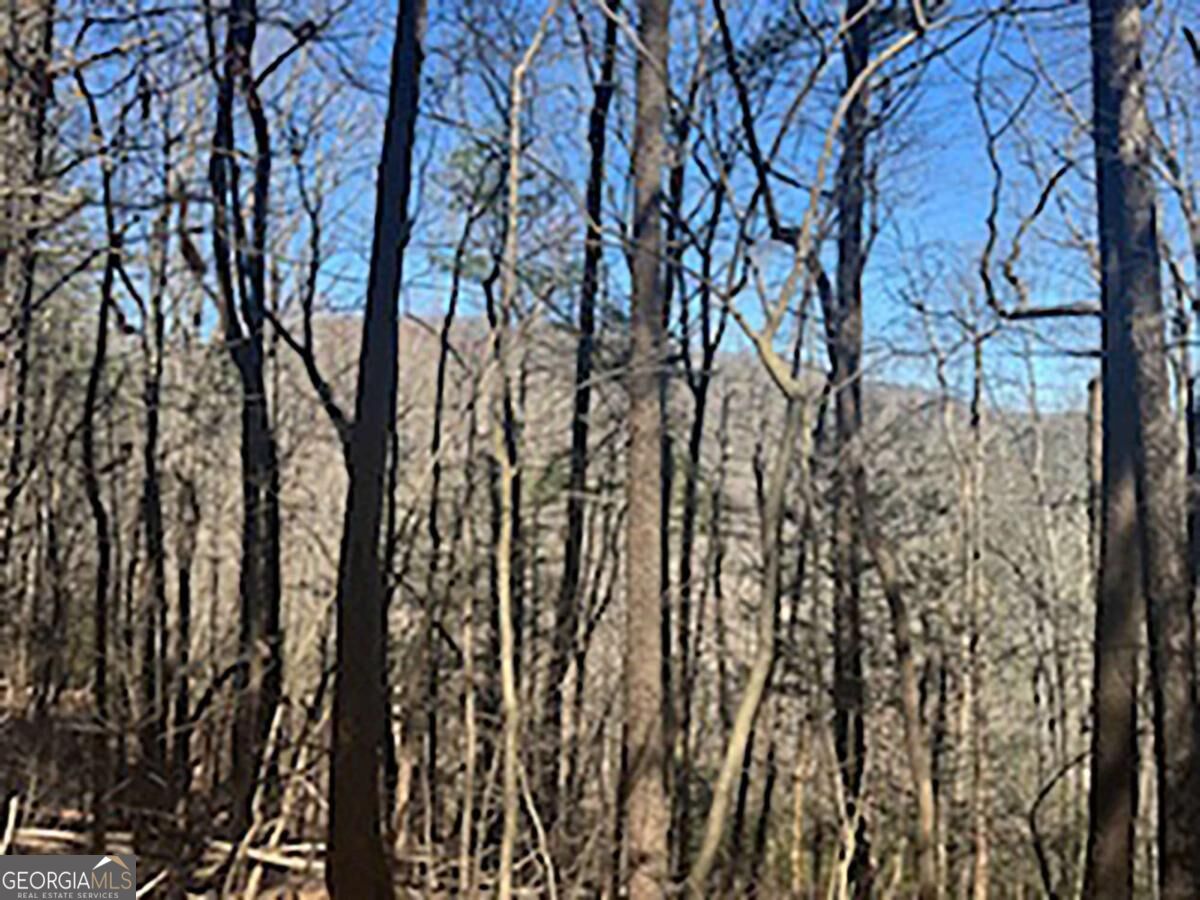 LOT 14 Butler Creek Road