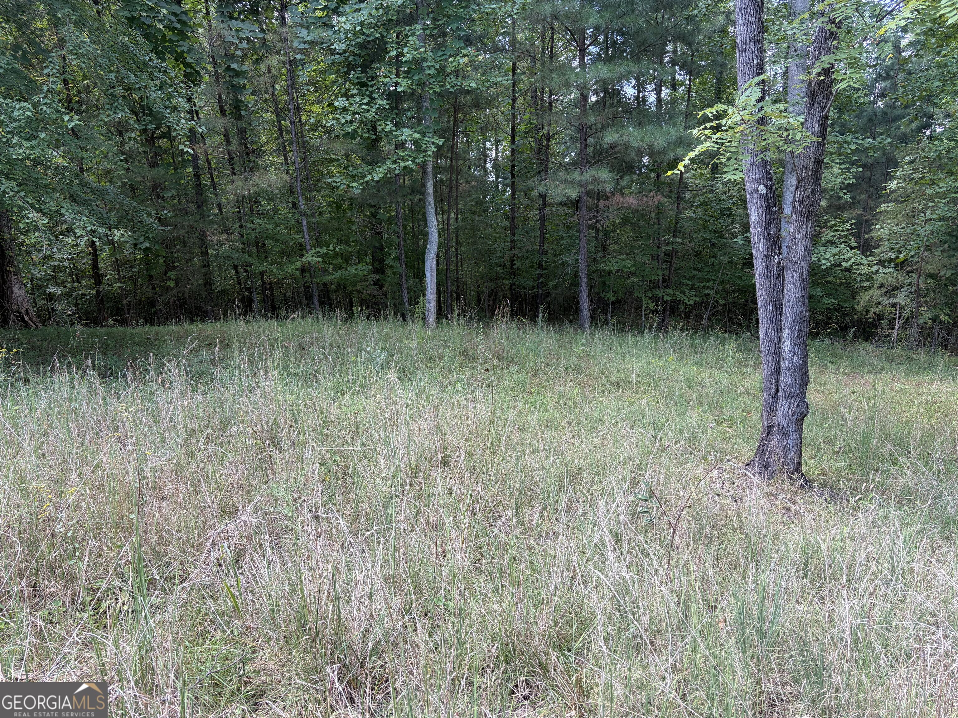 #41 Meadow Brooke Drive Property Photo 1