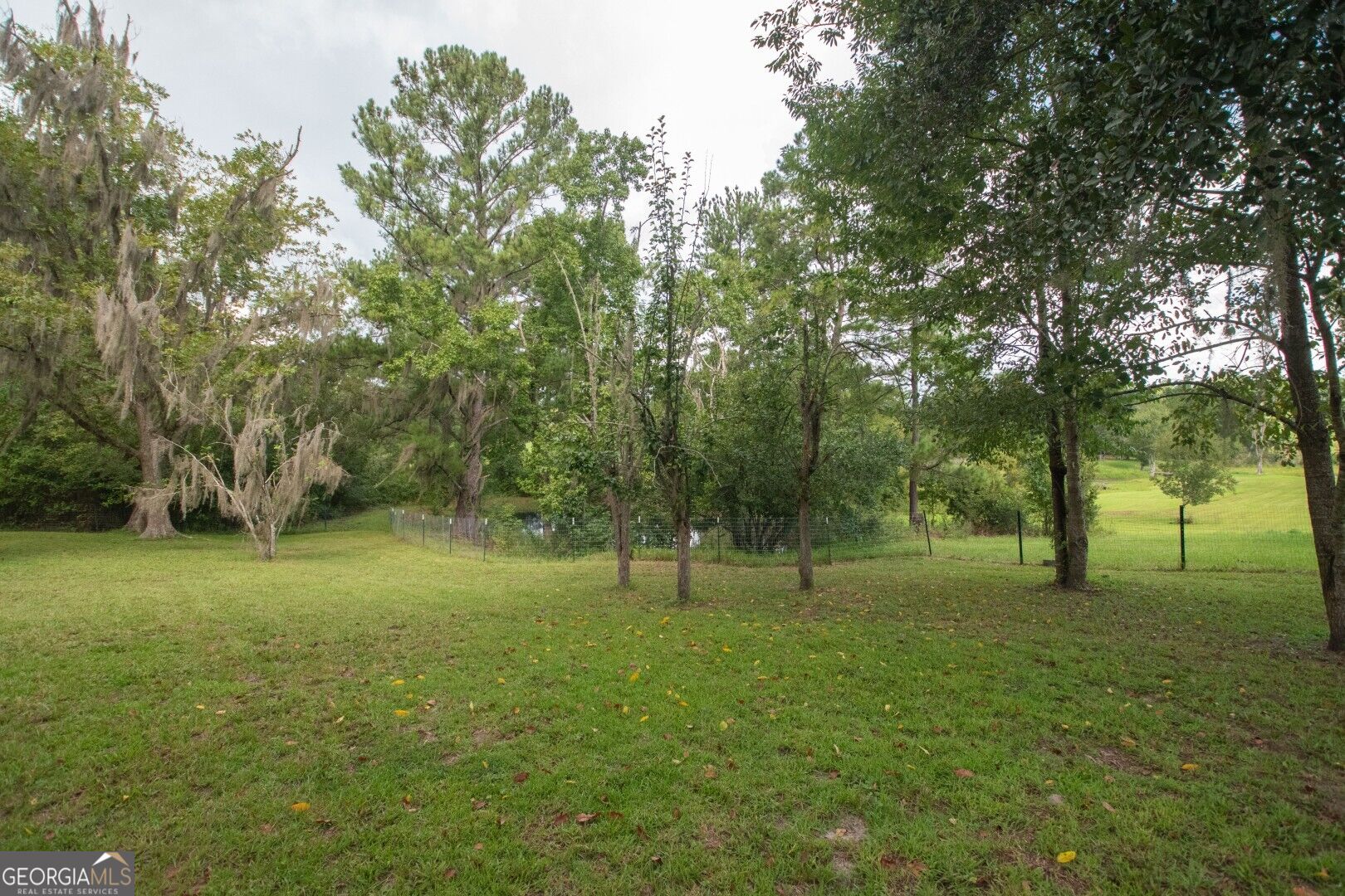 41 Sheridan Street Property Photo 23