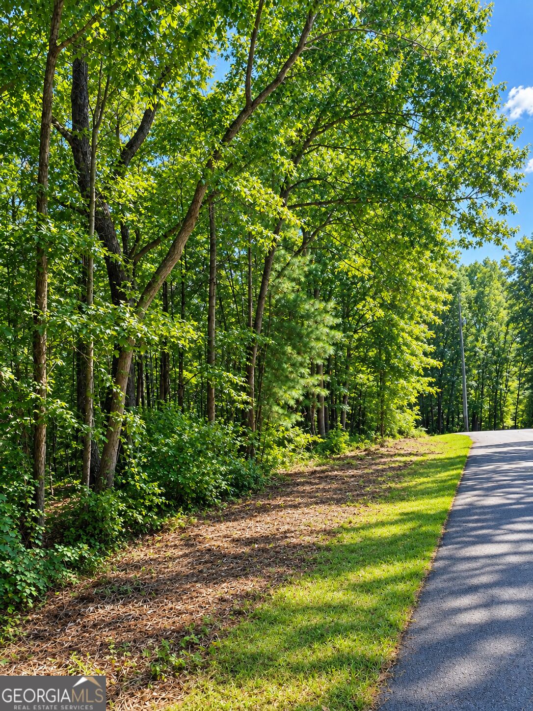 Lot 24 Oak Ct Property Photo 1