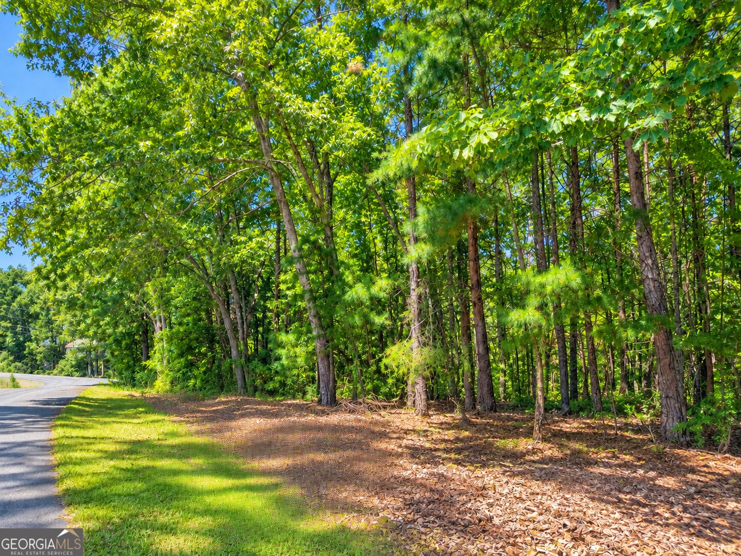 Lot 24 Oak Court Property Photo 1