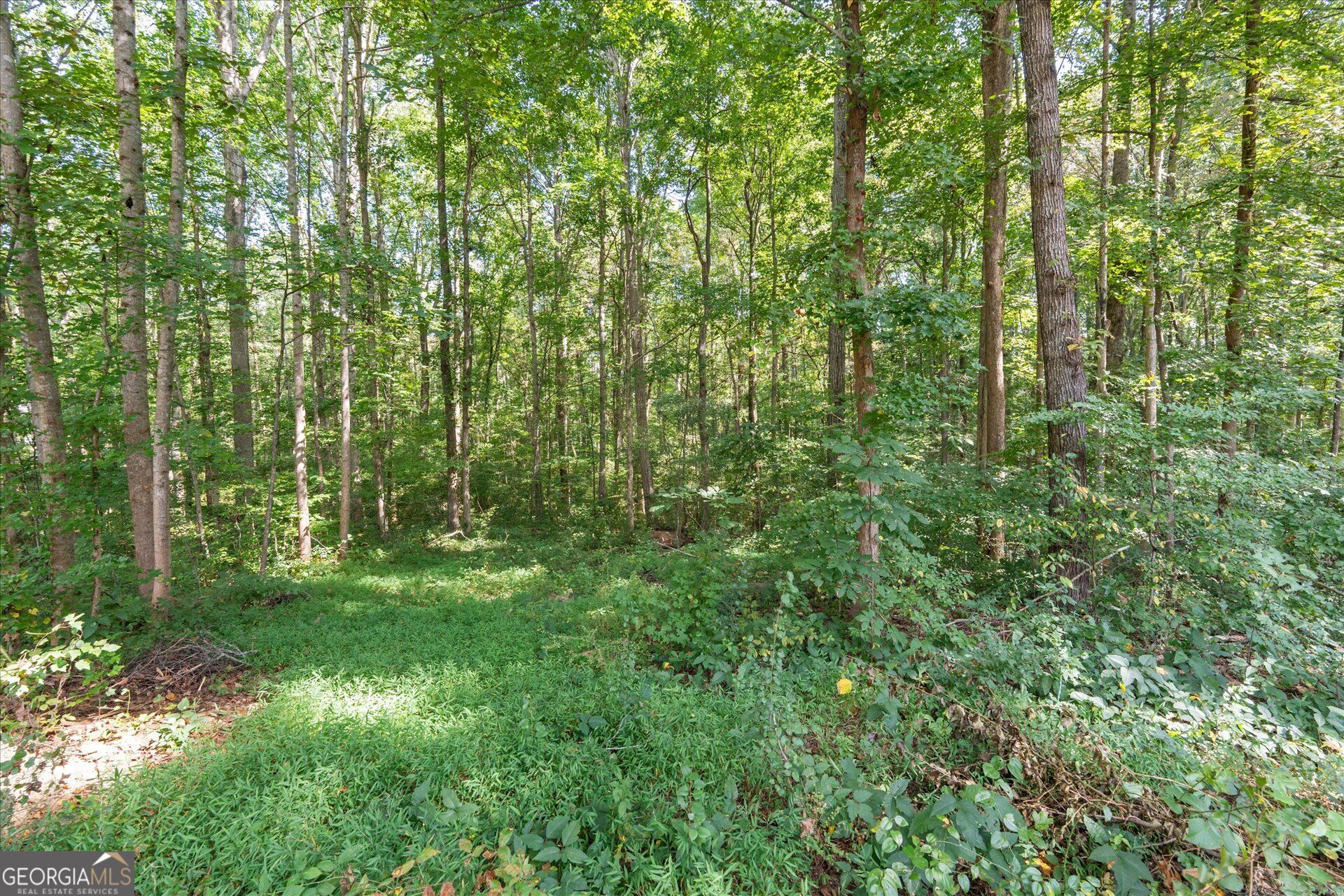 356 Waterway Trail Property Photo 33