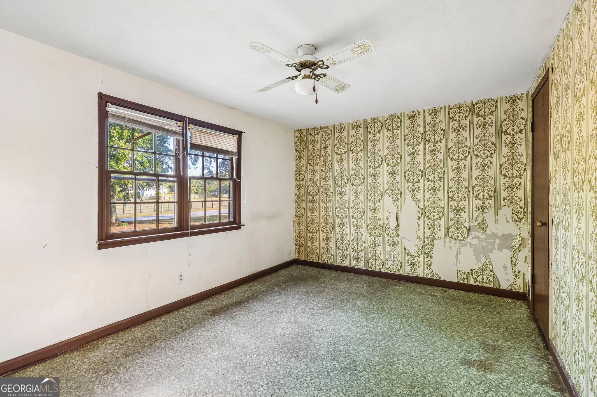 4374 Cannon Road Property Photo 16