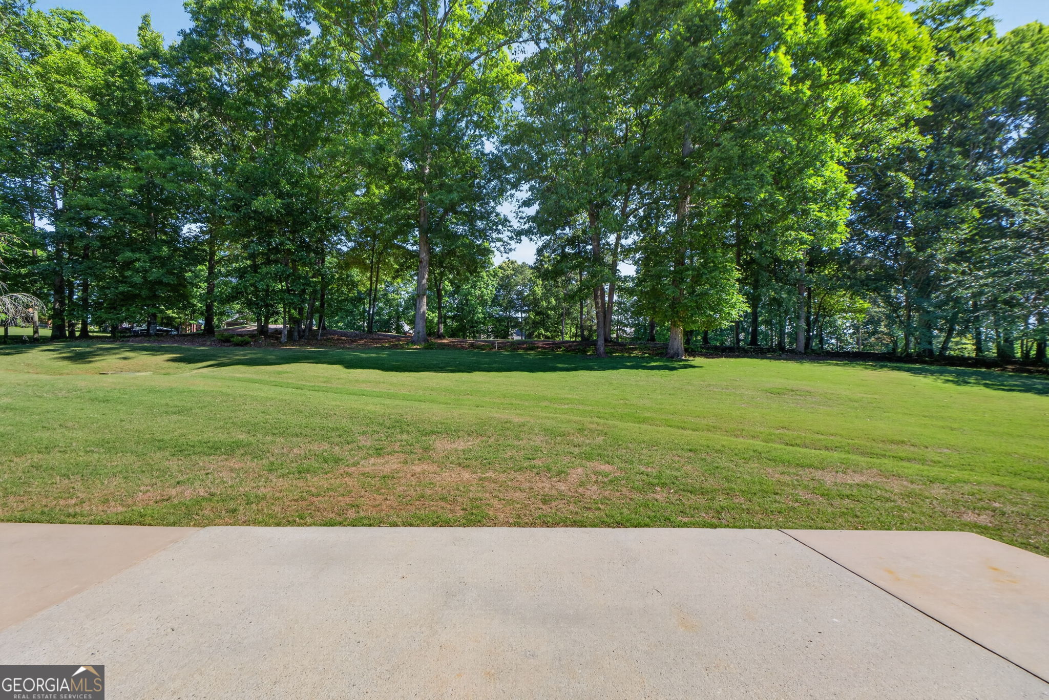 1625 Lake Dow Road Property Photo 40