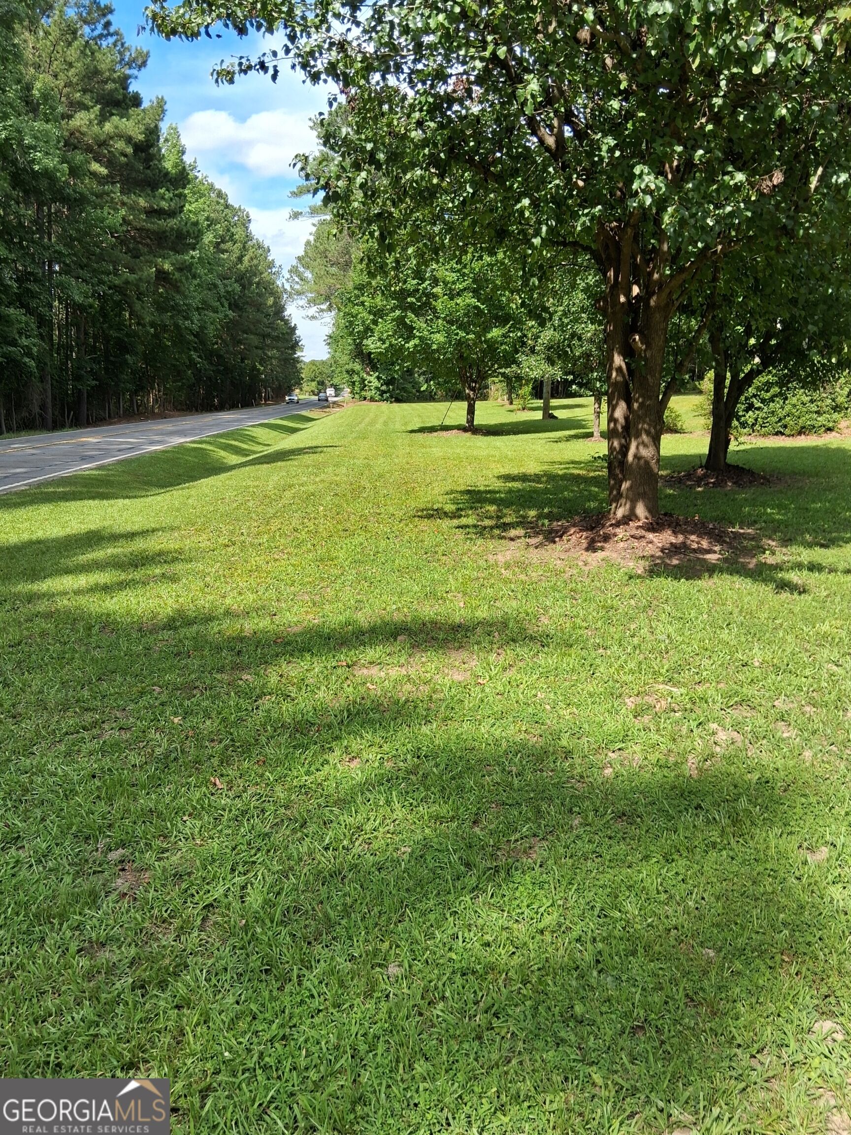 6599 Ga Highway 42 N Property Photo 8