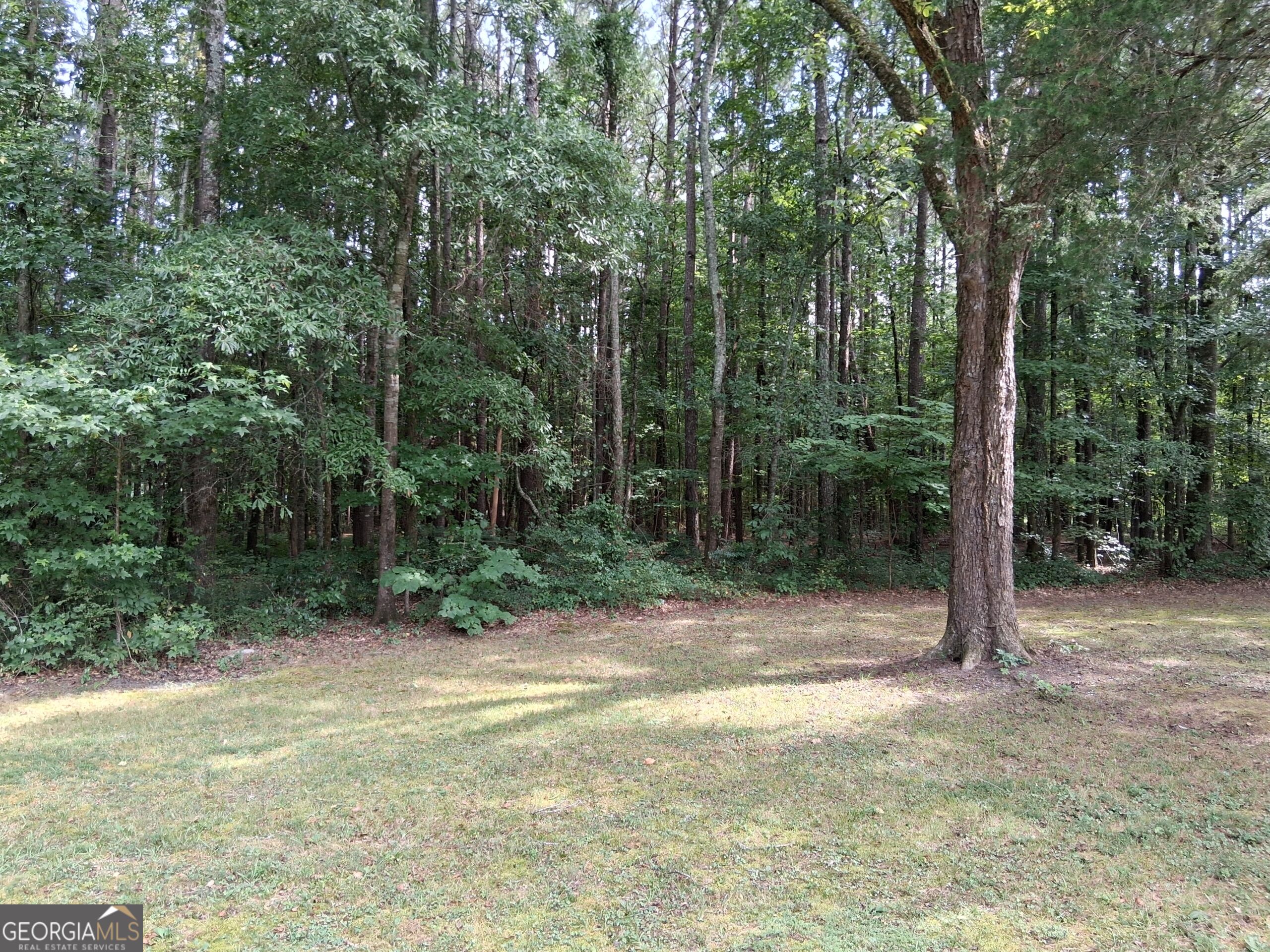 6599 Ga Highway 42 N Property Photo 34