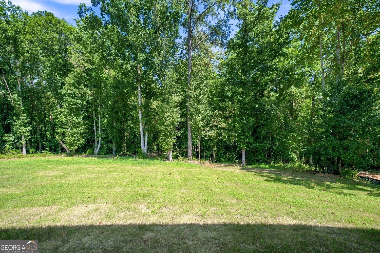 2541 Aniki Bee Drive Property Photo 41