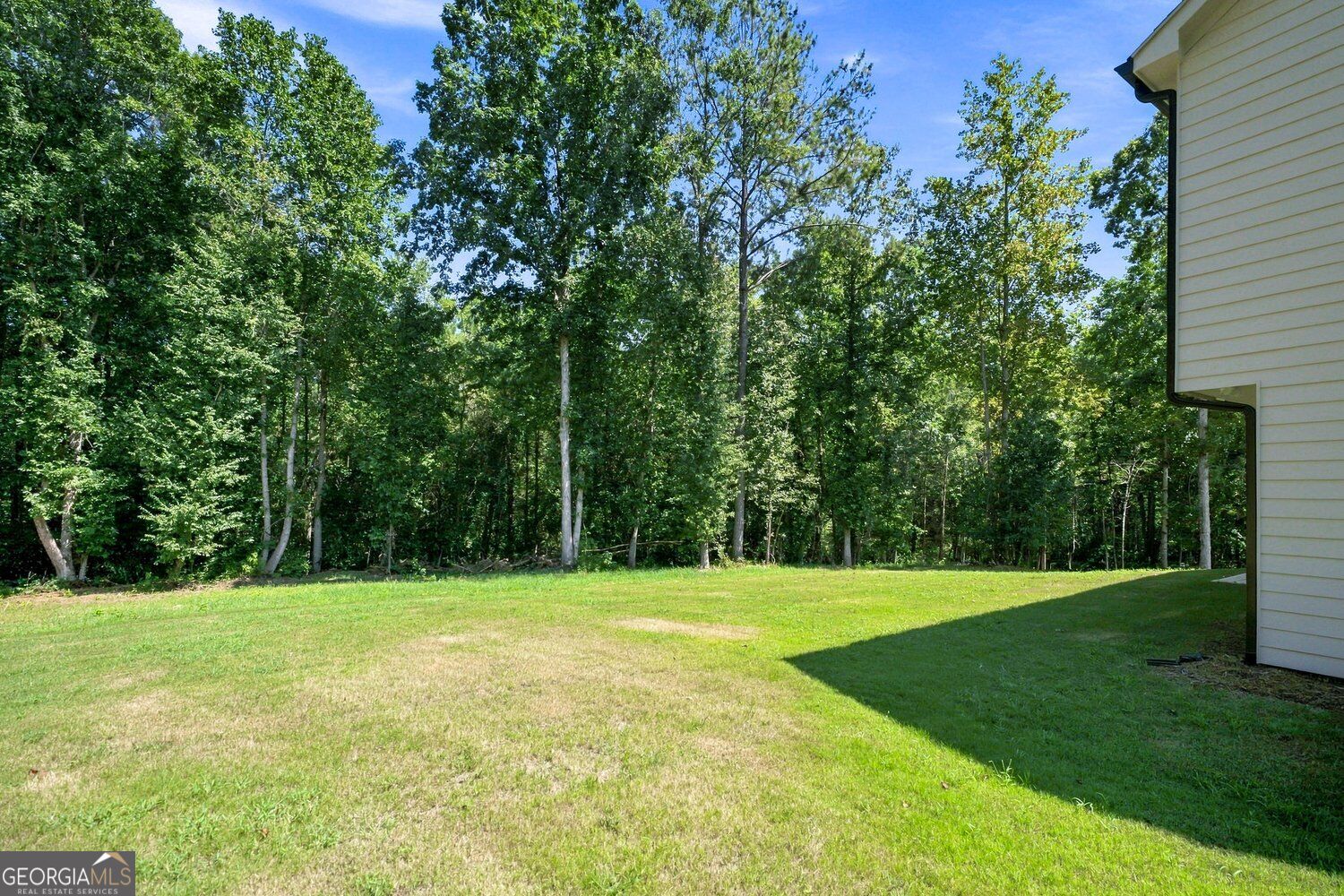 2541 Aniki Bee Drive Property Photo 44