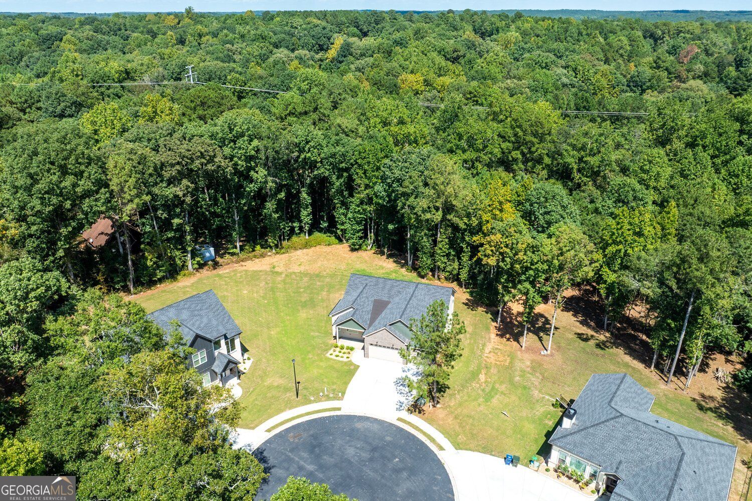 2541 Aniki Bee Drive Property Photo 48