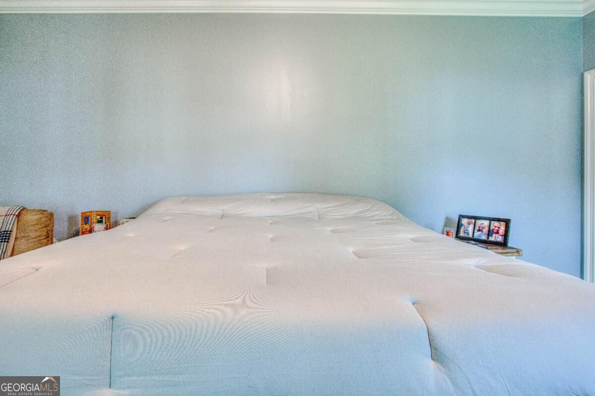 3779 Old Vine Way Property Photo 54