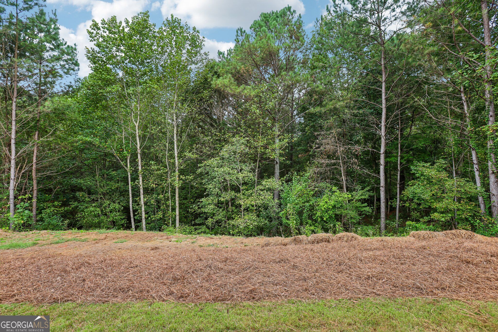 179 Ambrose Drive Property Photo 26