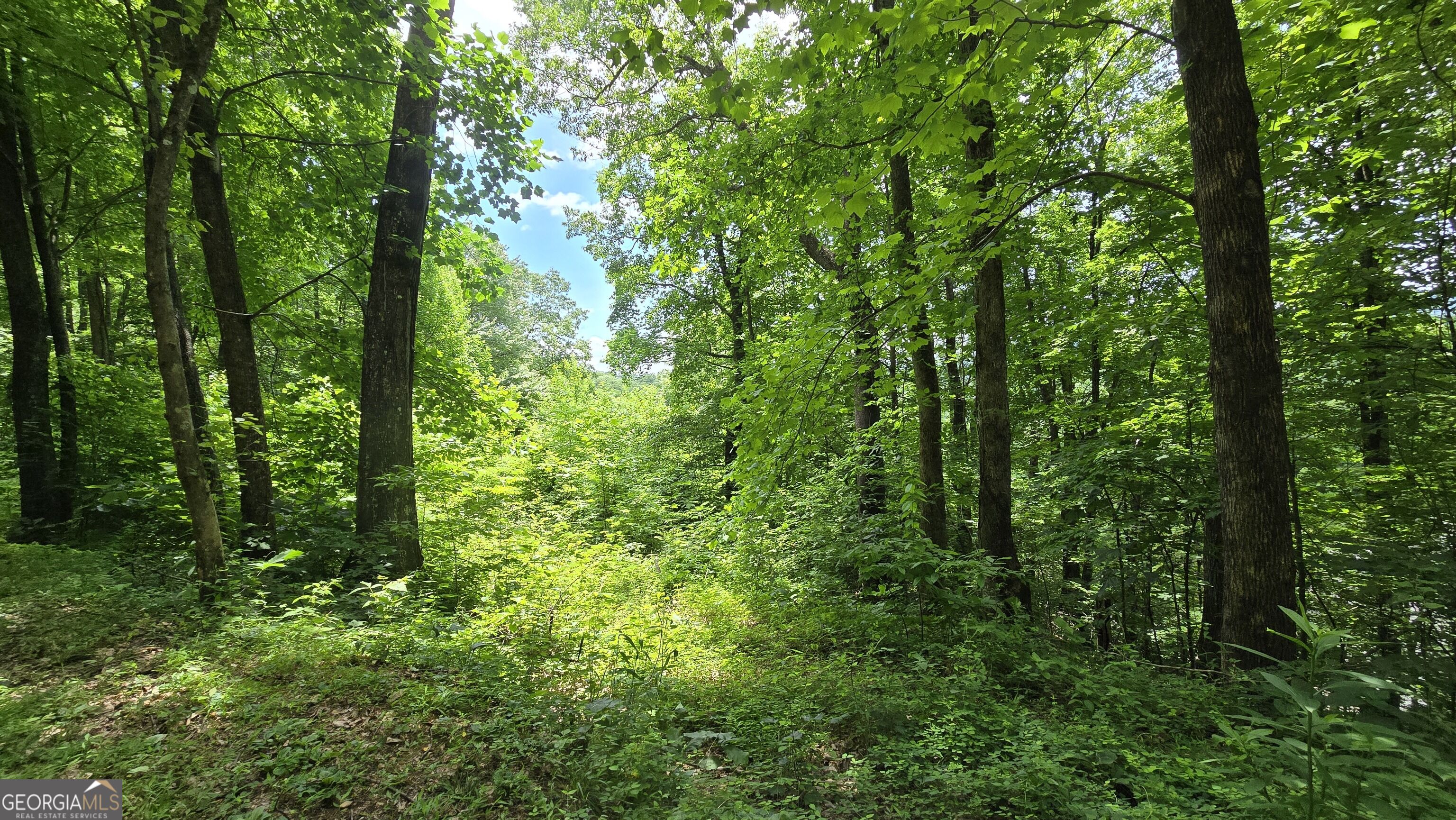 Lot 30 High Meadows Property Photo 1