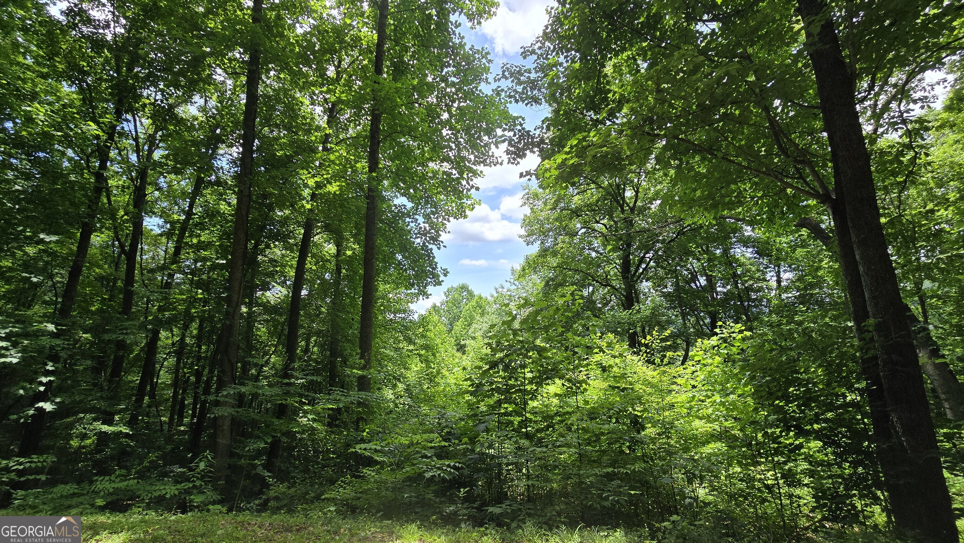 Lot 30 High Meadows Property Photo 7