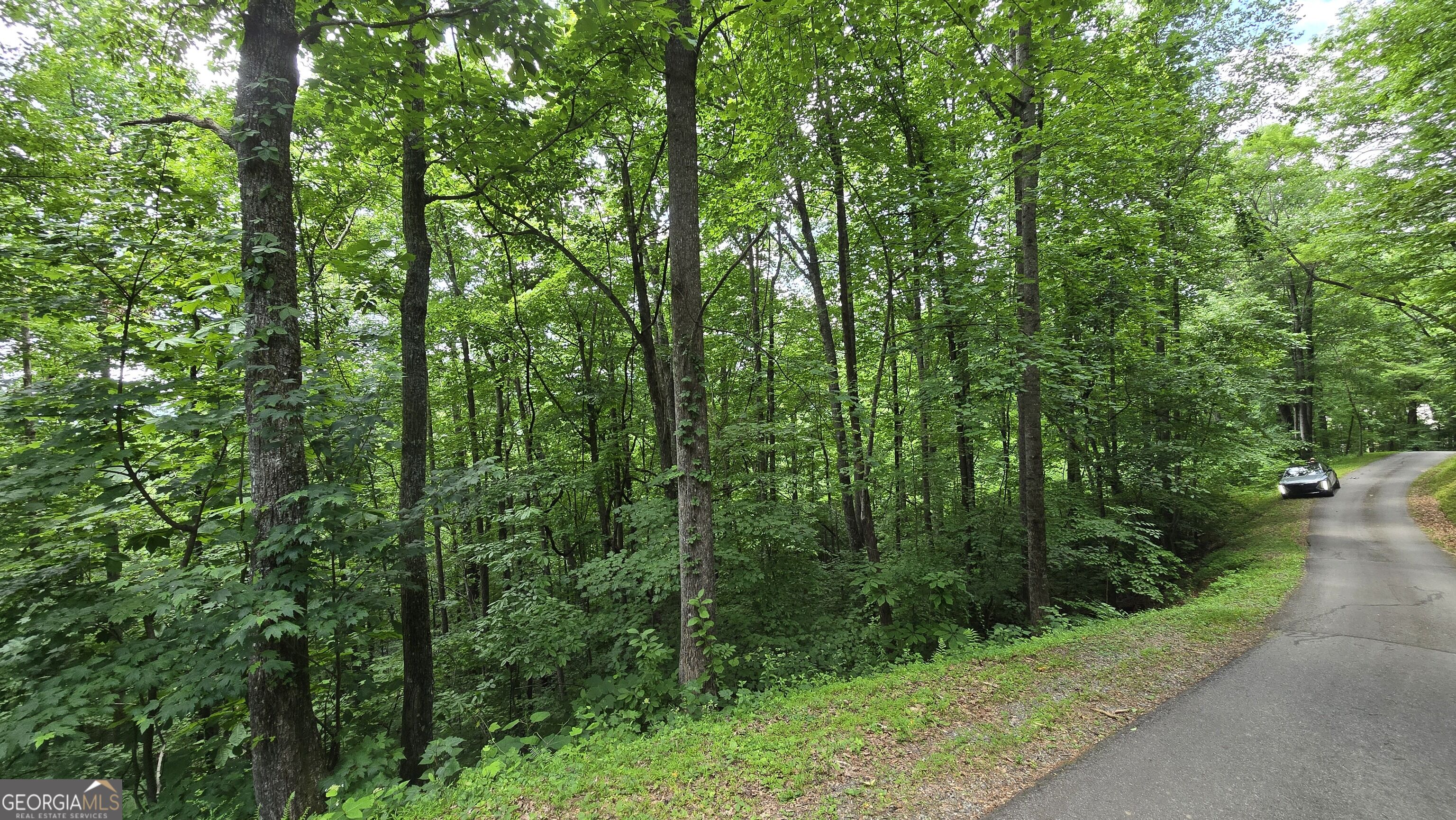 Lot 30 High Meadows Property Photo 8